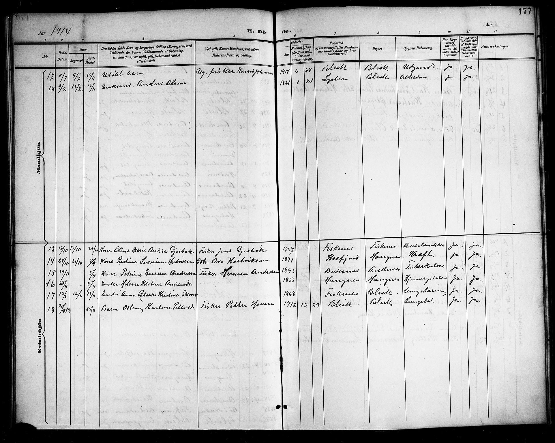 Ministerialprotokoller, klokkerbøker og fødselsregistre - Nordland, AV/SAT-A-1459/899/L1449: Parish register (copy) no. 899C04, 1900-1918, p. 177