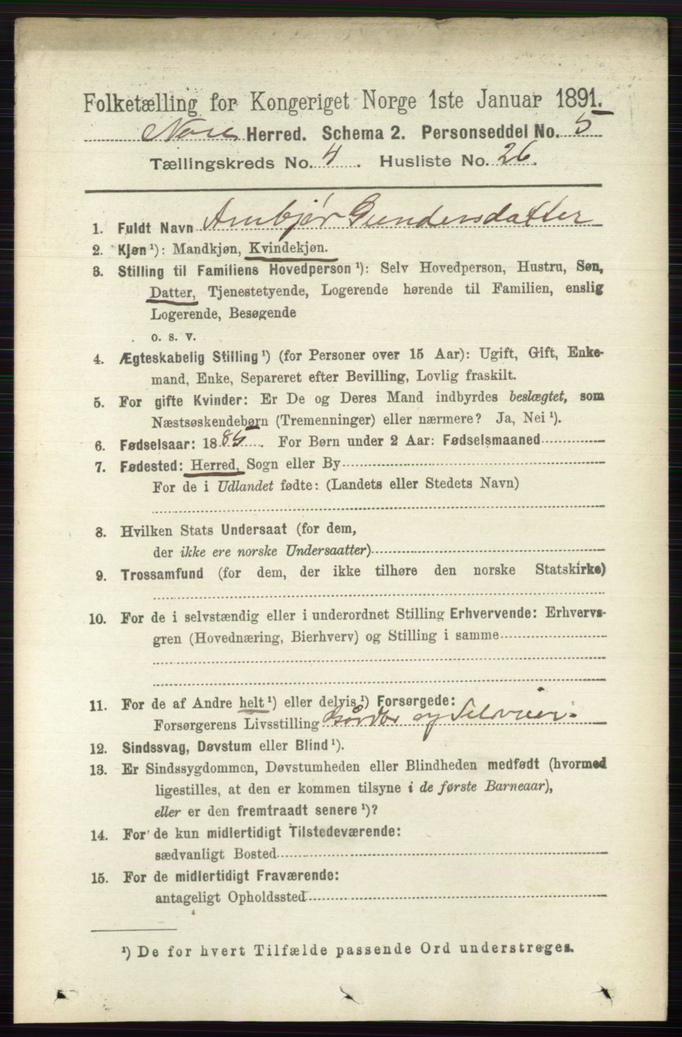 RA, 1891 census for 0633 Nore, 1891, p. 1417