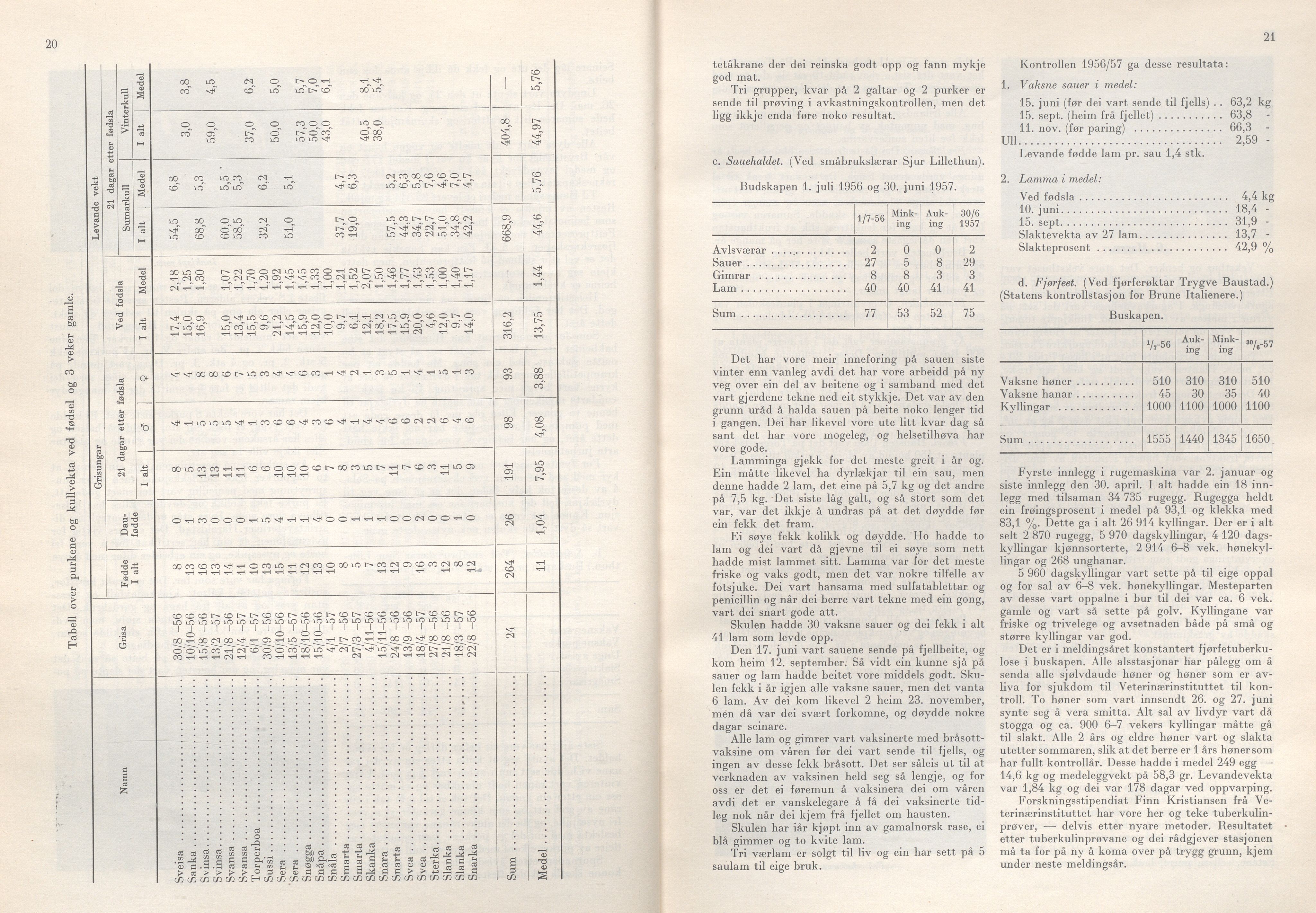 Rogaland fylkeskommune - Fylkesrådmannen , IKAR/A-900/A/Aa/Aaa/L0077: Møtebok , 1958, p. 20-21