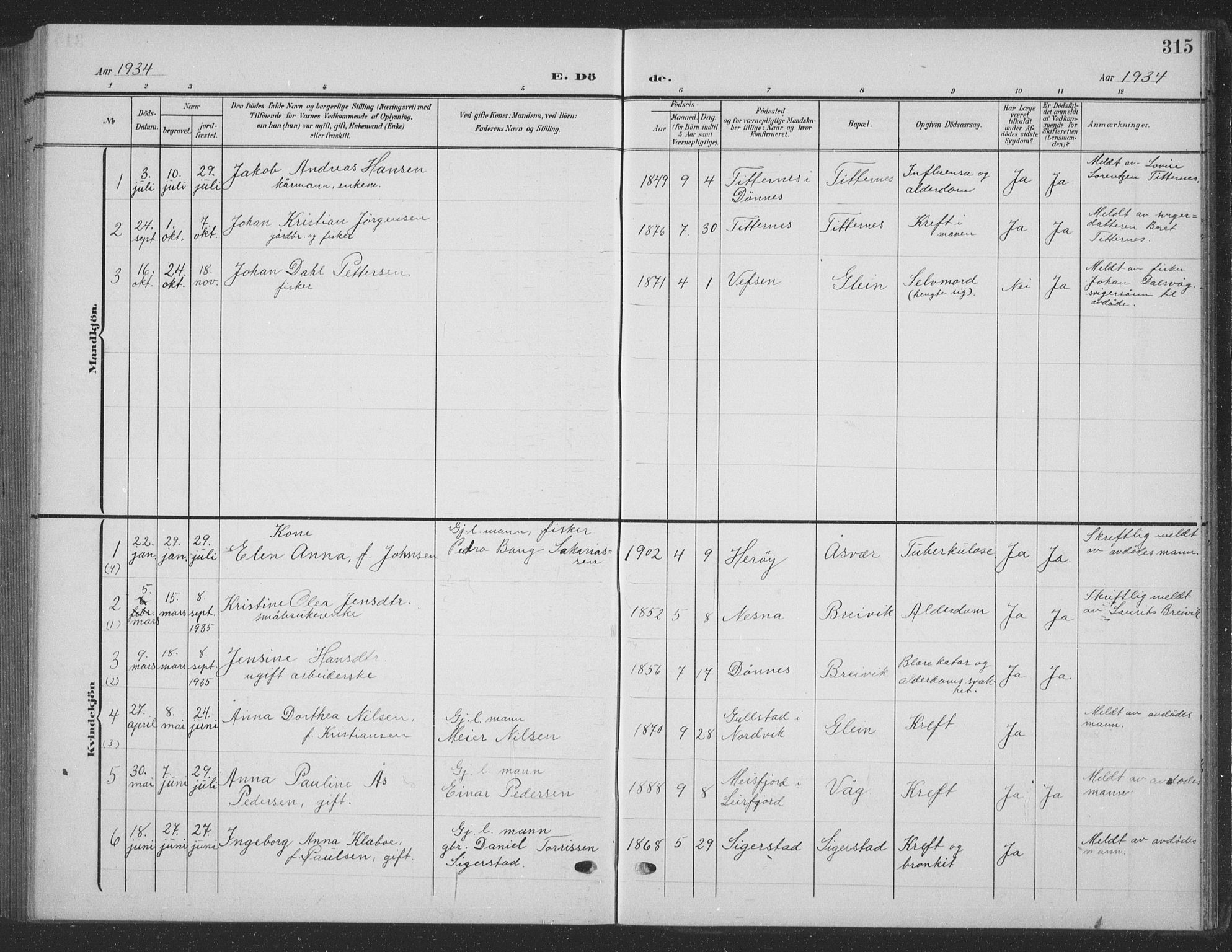 Ministerialprotokoller, klokkerbøker og fødselsregistre - Nordland, SAT/A-1459/835/L0533: Parish register (copy) no. 835C05, 1906-1939, p. 315