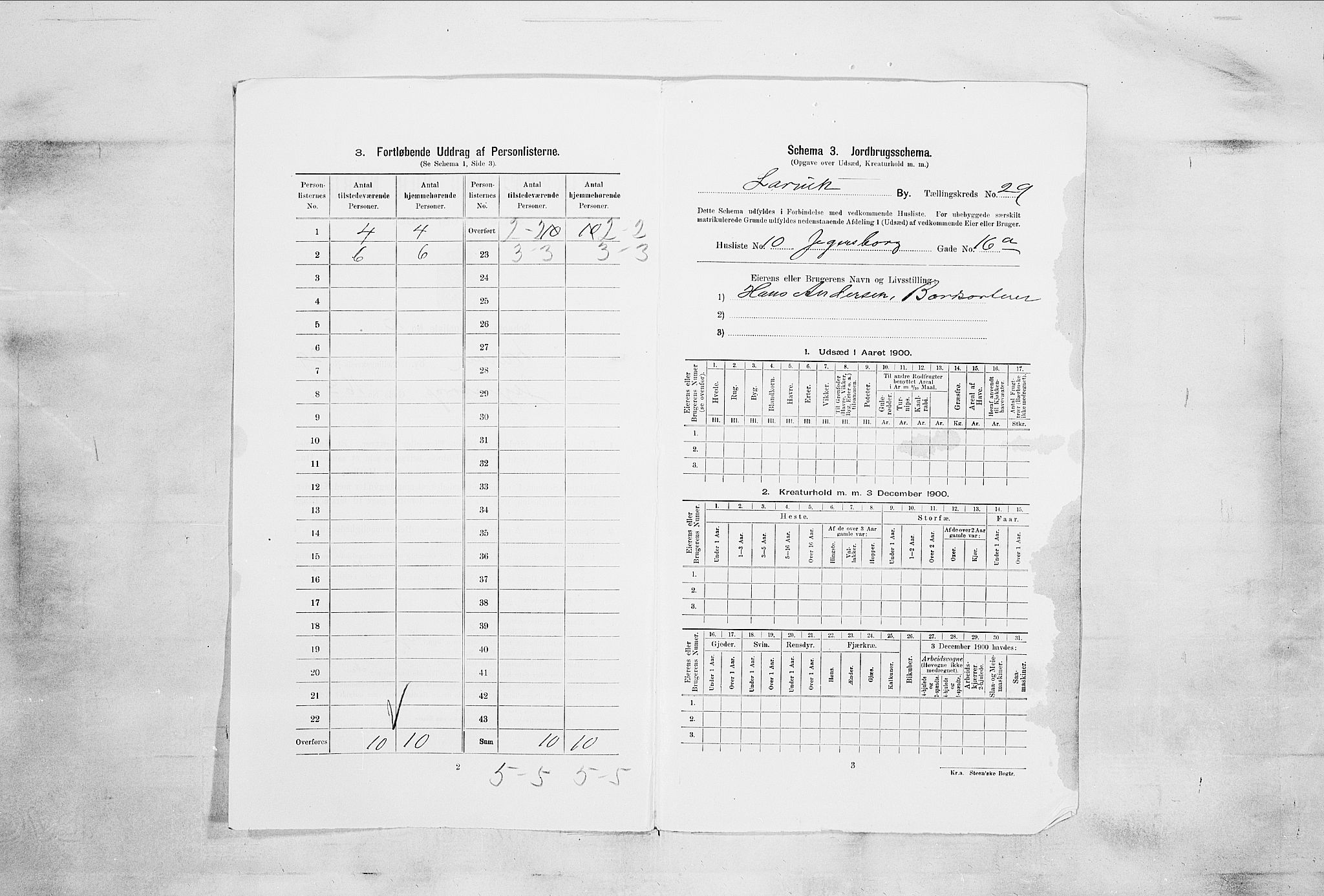 RA, 1900 census for Larvik, 1900, p. 7040