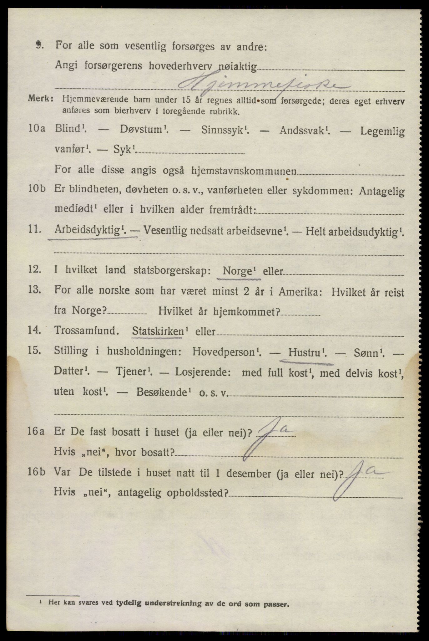 SAKO, 1920 census for Brunlanes, 1920, p. 10482