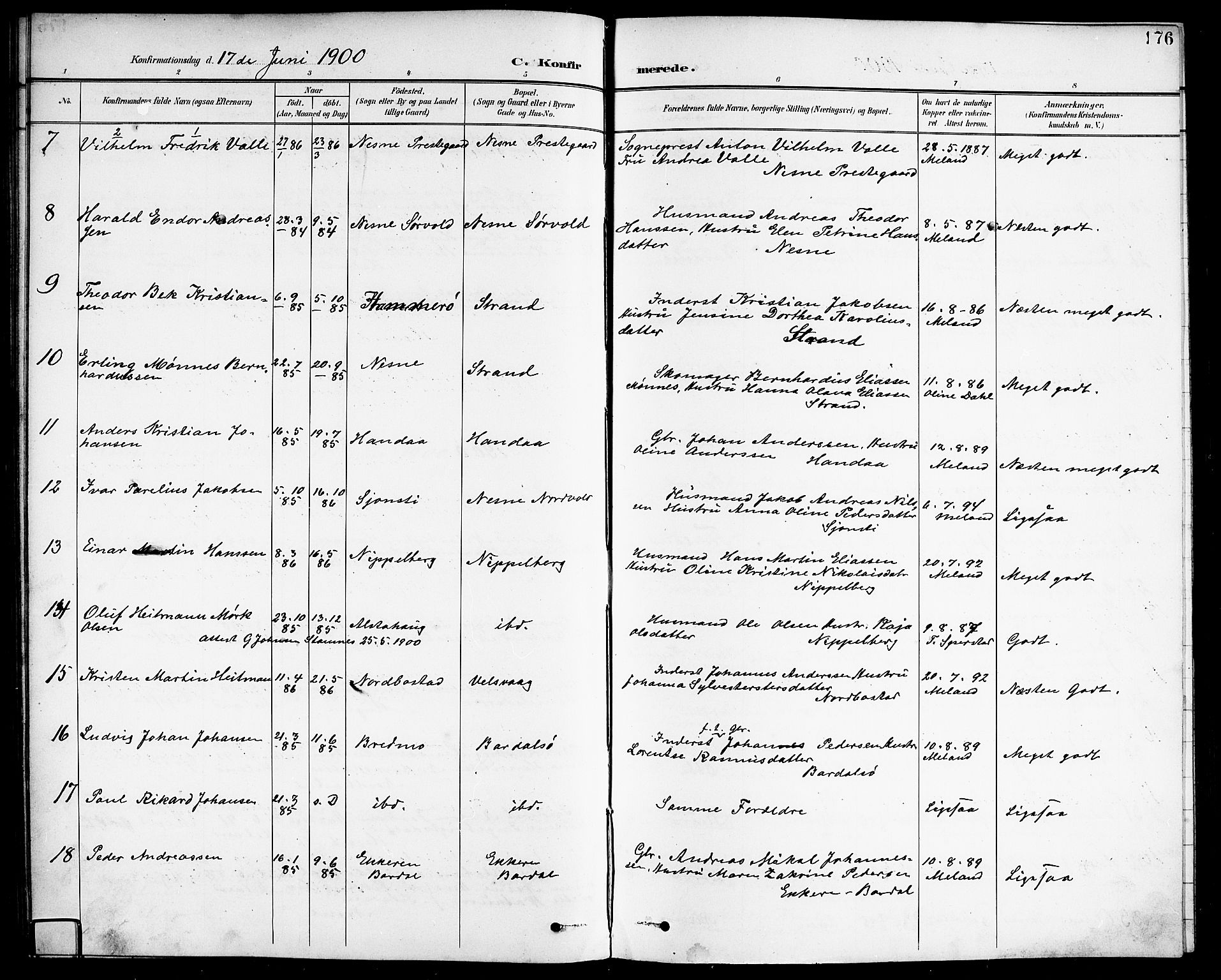 Ministerialprotokoller, klokkerbøker og fødselsregistre - Nordland, AV/SAT-A-1459/838/L0559: Parish register (copy) no. 838C06, 1893-1910, p. 176