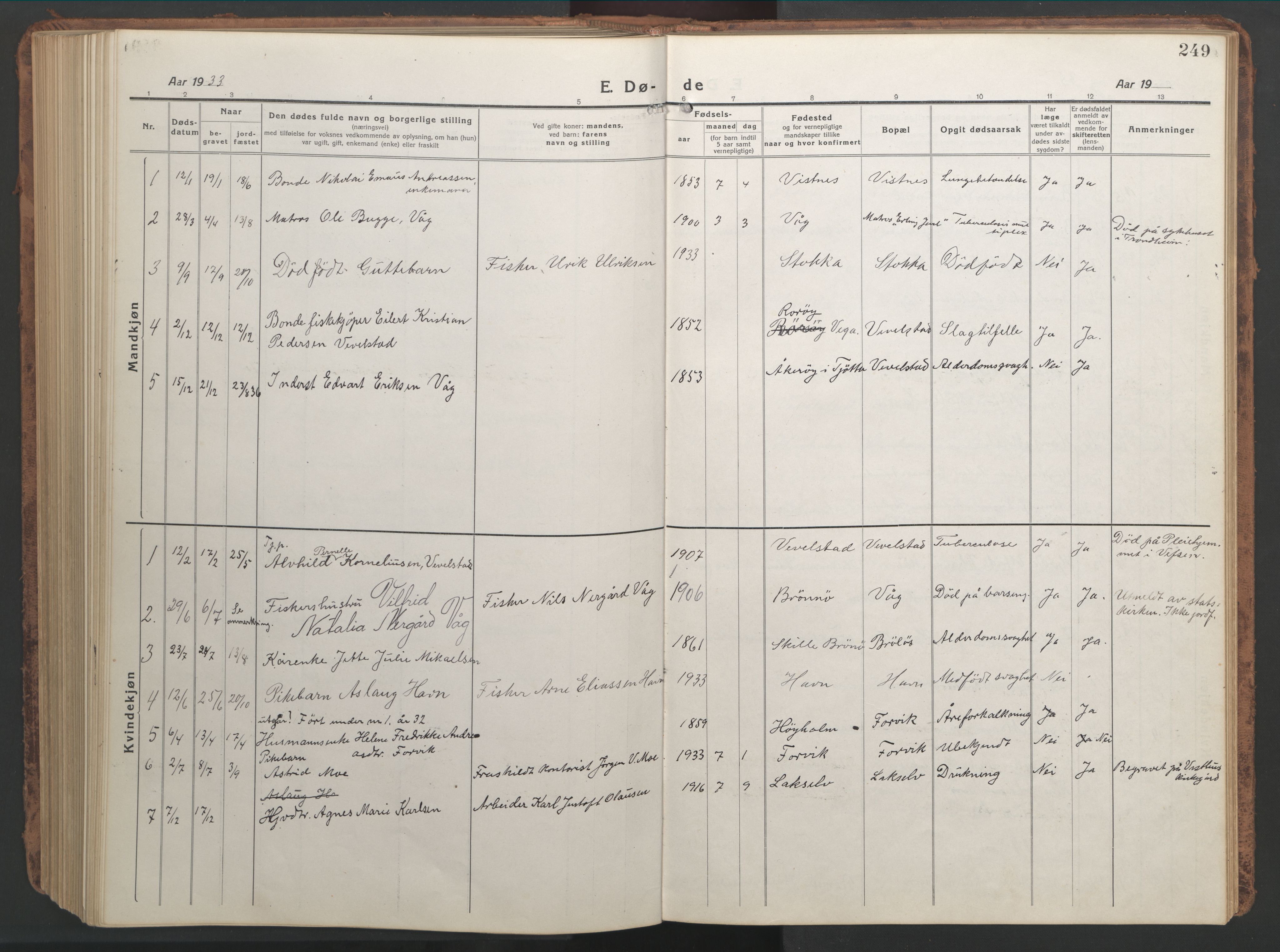 Ministerialprotokoller, klokkerbøker og fødselsregistre - Nordland, AV/SAT-A-1459/819/L0278: Parish register (copy) no. 819C04, 1917-1967, p. 249