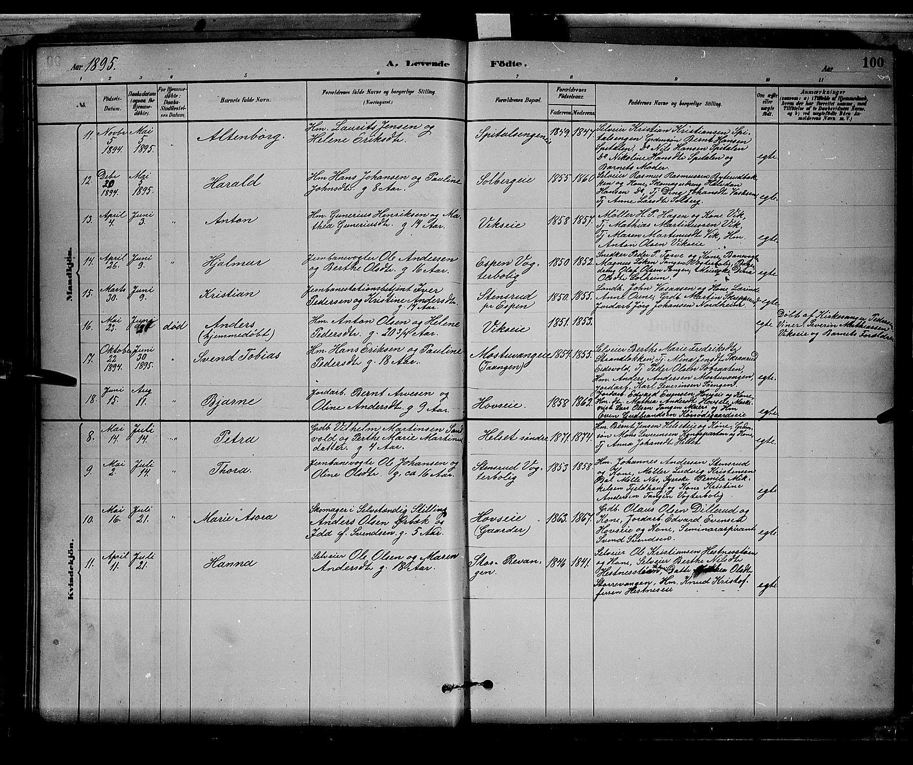 Stange prestekontor, AV/SAH-PREST-002/L/L0008: Parish register (copy) no. 8, 1882-1895, p. 100
