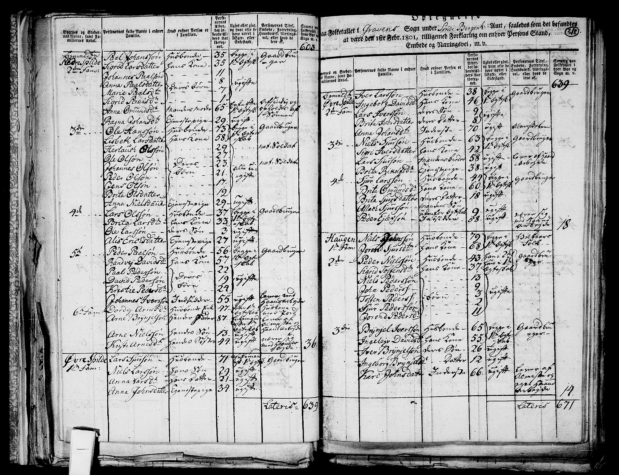 RA, 1801 census for 1234P Granvin, 1801, p. 317b-318a