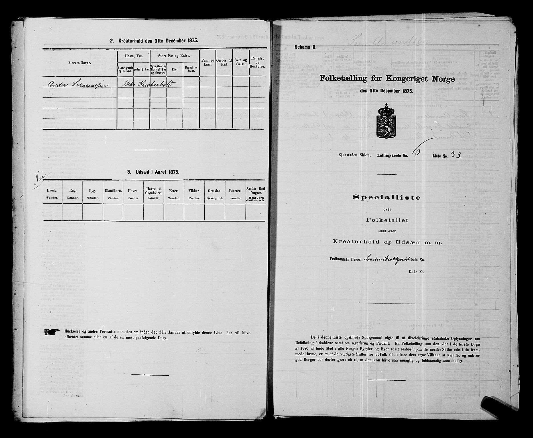 SAKO, 1875 census for 0806P Skien, 1875, p. 1029