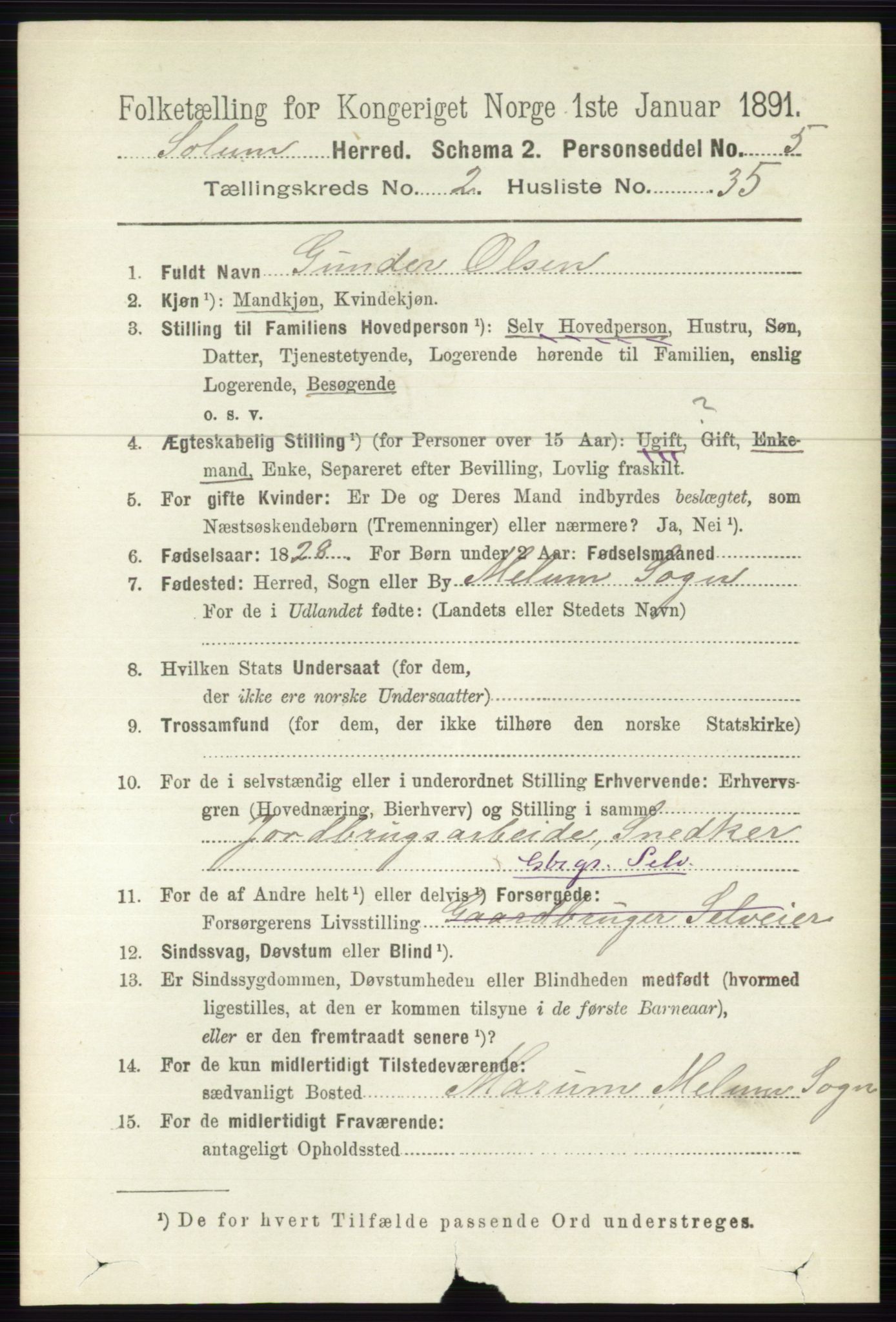 RA, 1891 census for 0818 Solum, 1891, p. 293