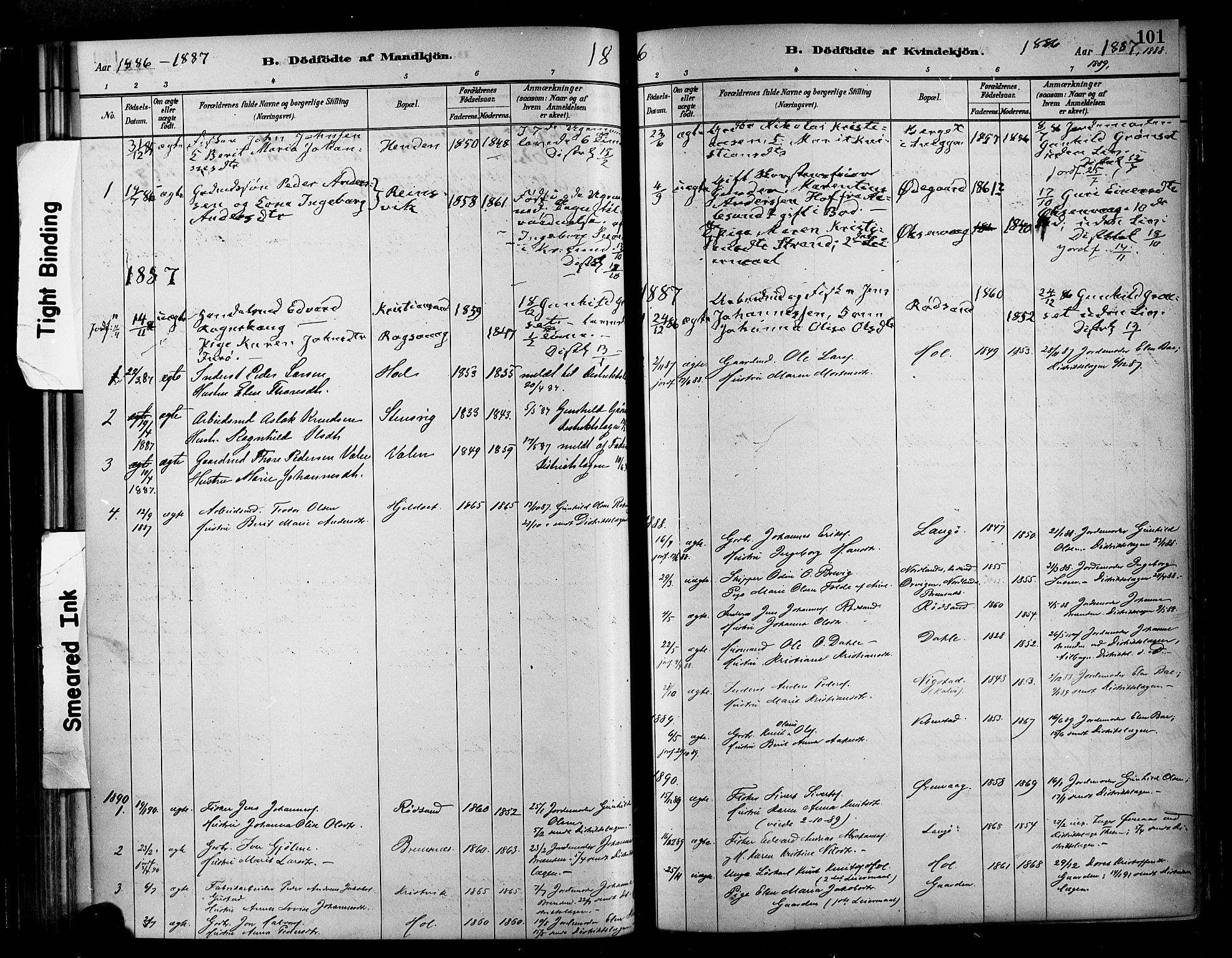 Ministerialprotokoller, klokkerbøker og fødselsregistre - Møre og Romsdal, SAT/A-1454/569/L0819: Parish register (official) no. 569A05, 1885-1899, p. 101