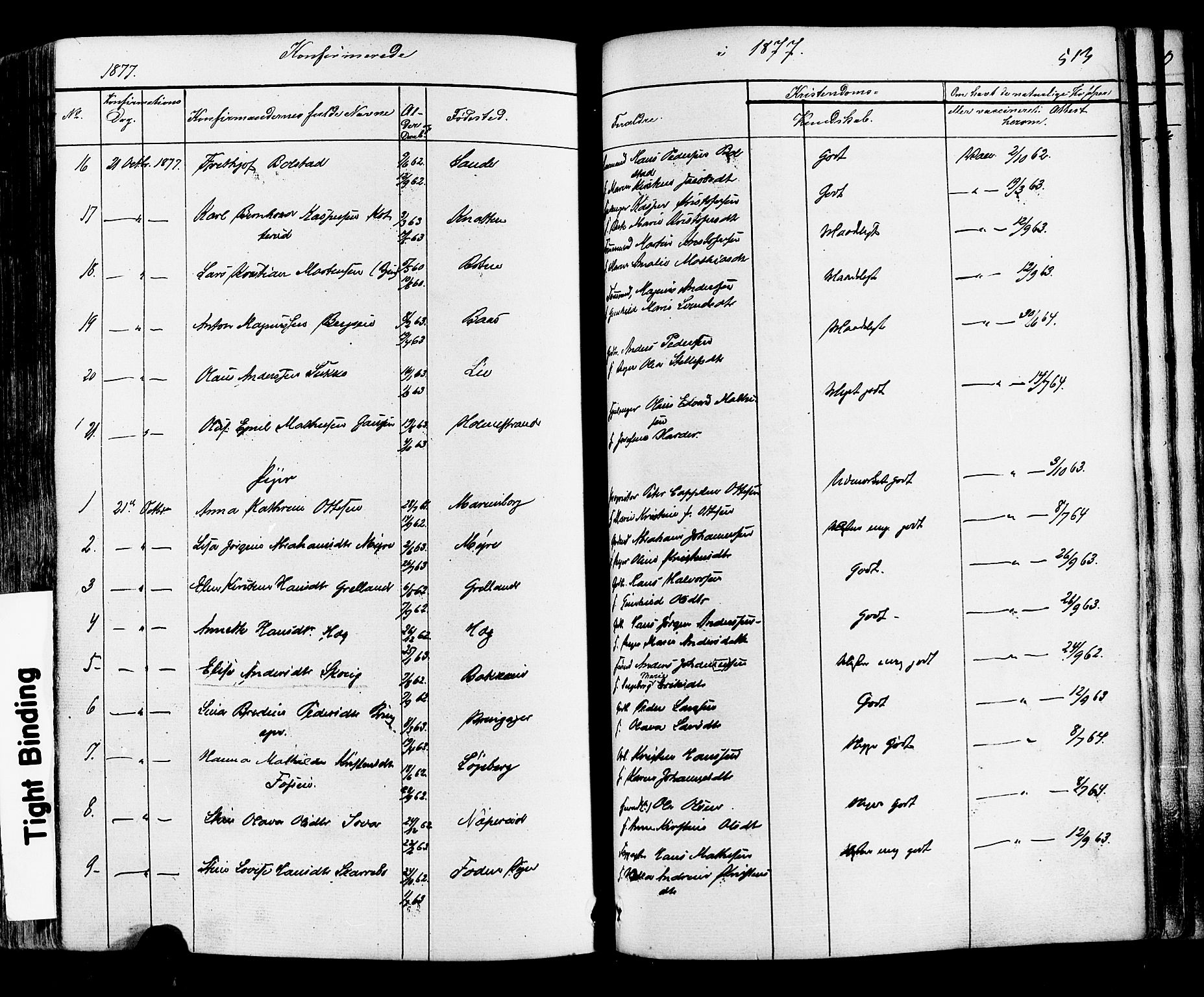 Botne kirkebøker, AV/SAKO-A-340/F/Fa/L0006: Parish register (official) no. I 6, 1836-1877, p. 513