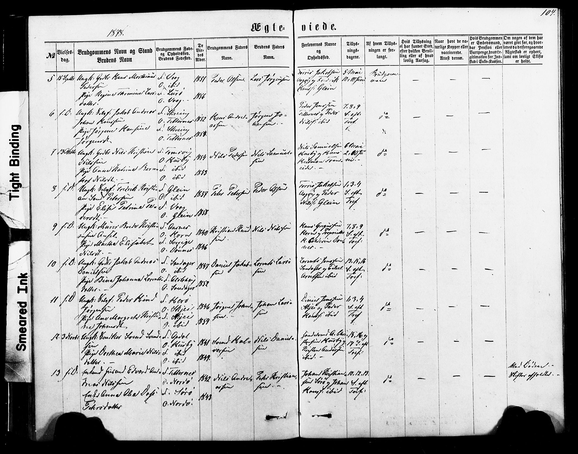 Ministerialprotokoller, klokkerbøker og fødselsregistre - Nordland, SAT/A-1459/835/L0524: Parish register (official) no. 835A02, 1865-1880, p. 104