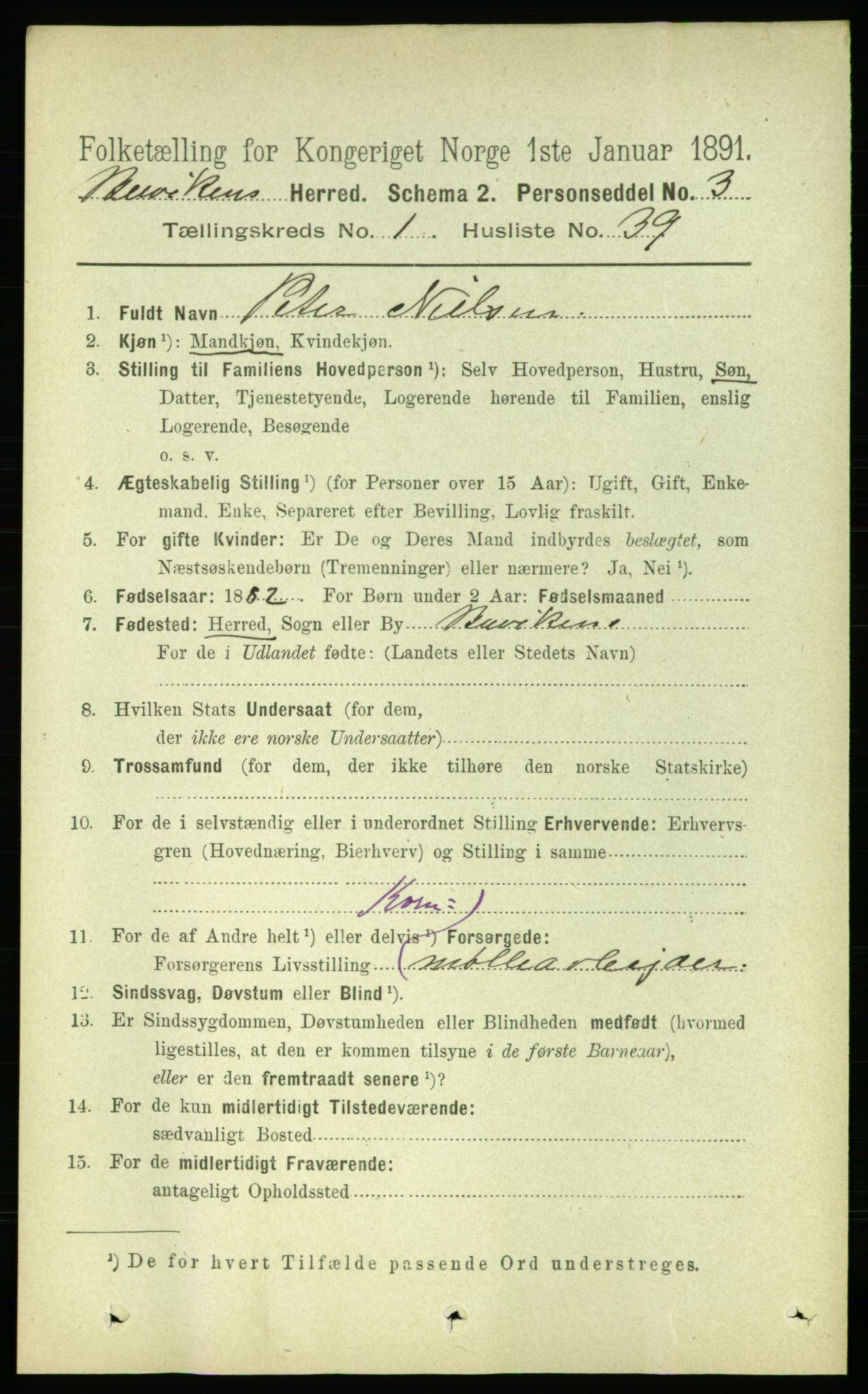 RA, 1891 census for 1656 Buvik, 1891, p. 273