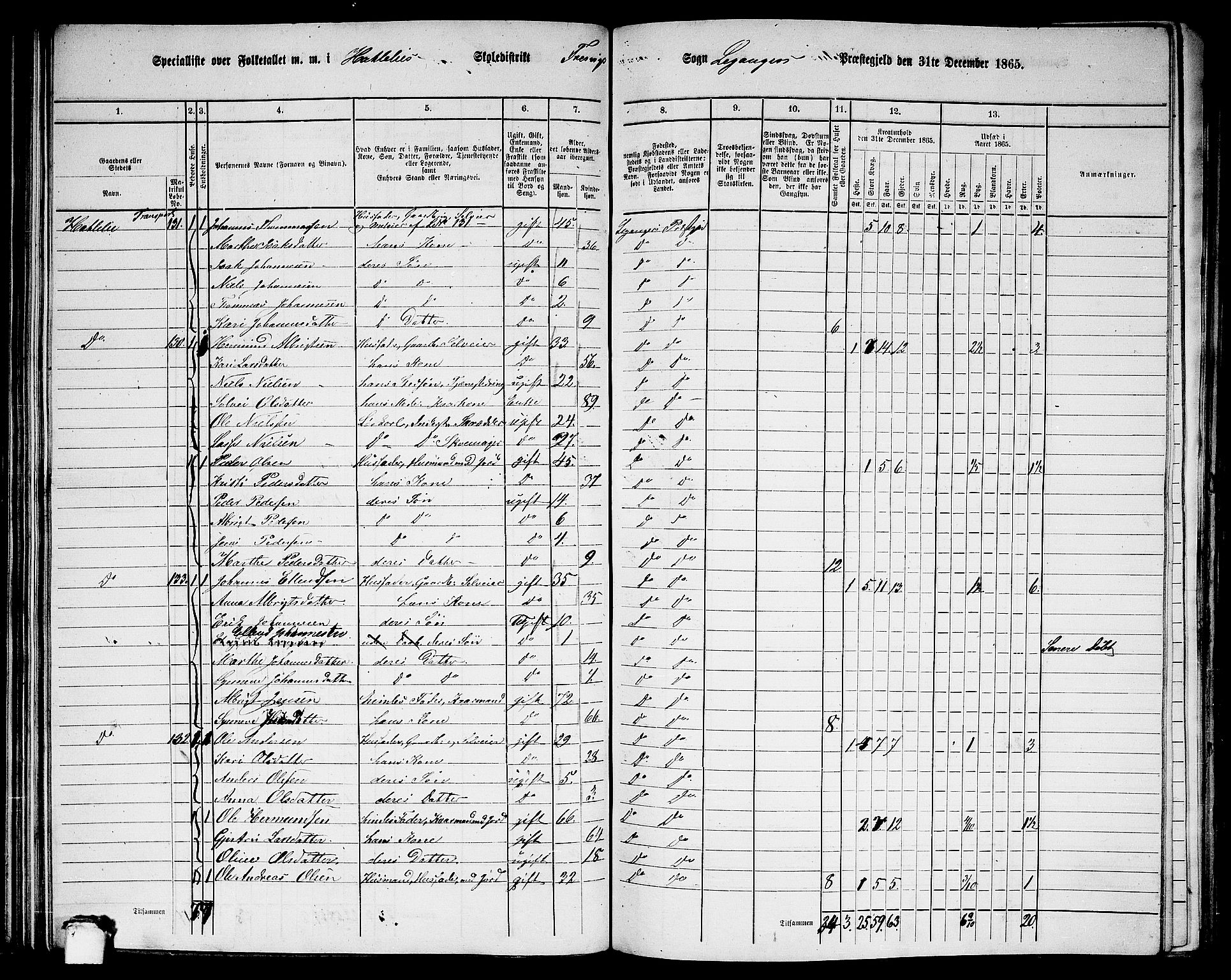 RA, 1865 census for Leikanger, 1865, p. 102
