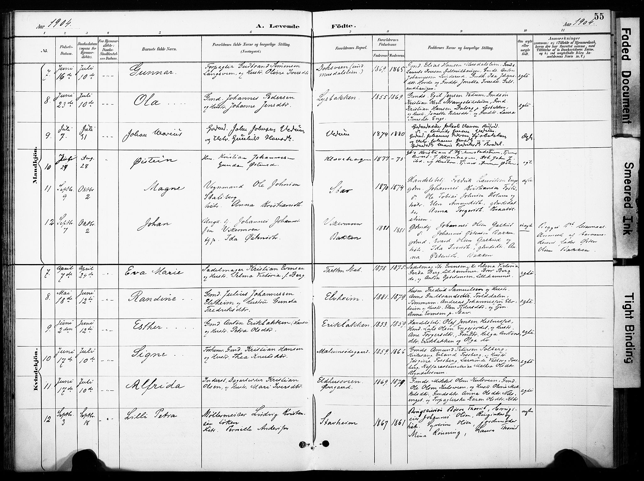 Øyer prestekontor, SAH/PREST-084/H/Ha/Haa/L0011: Parish register (official) no. 11, 1894-1905, p. 55