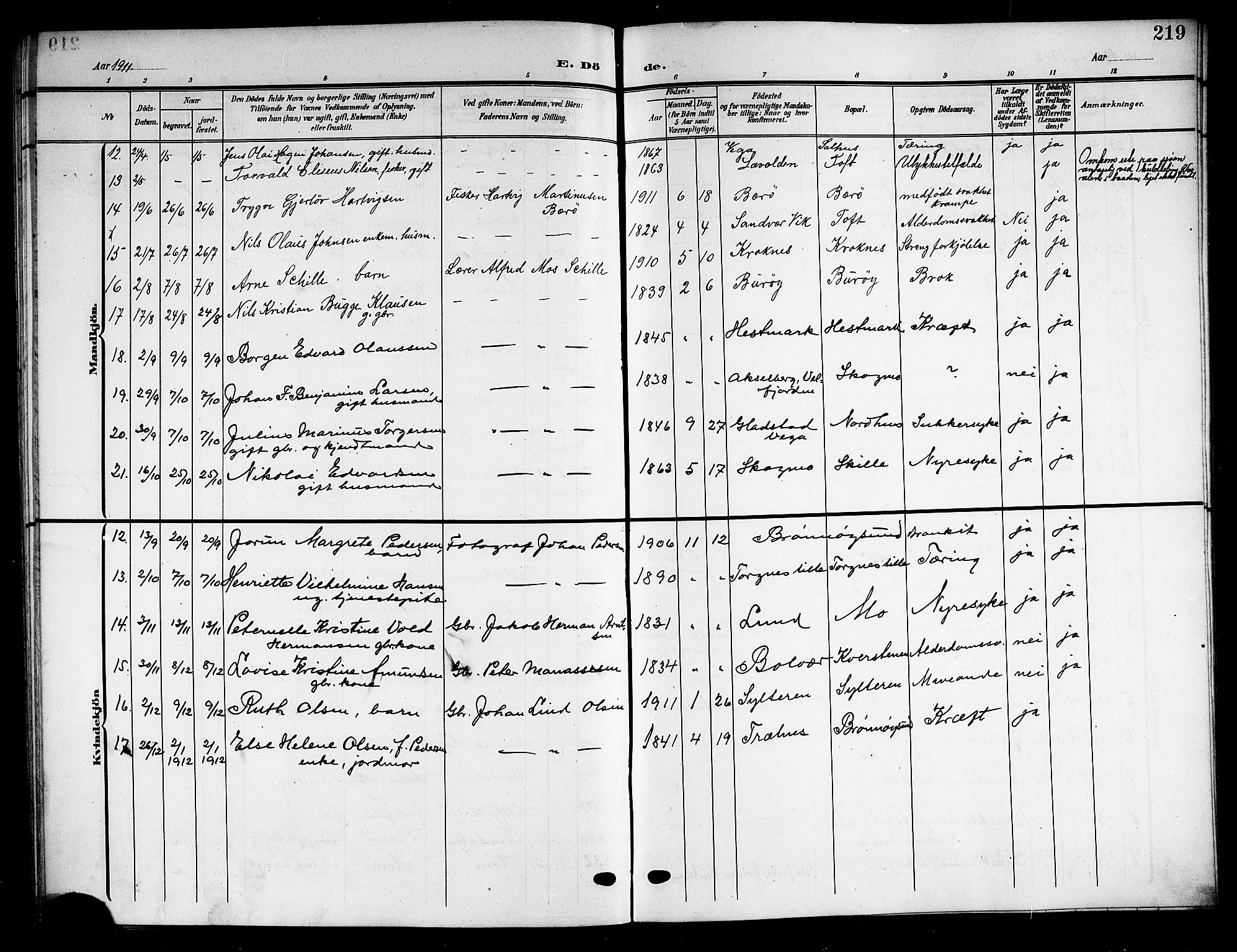 Ministerialprotokoller, klokkerbøker og fødselsregistre - Nordland, SAT/A-1459/813/L0214: Parish register (copy) no. 813C06, 1904-1917, p. 219