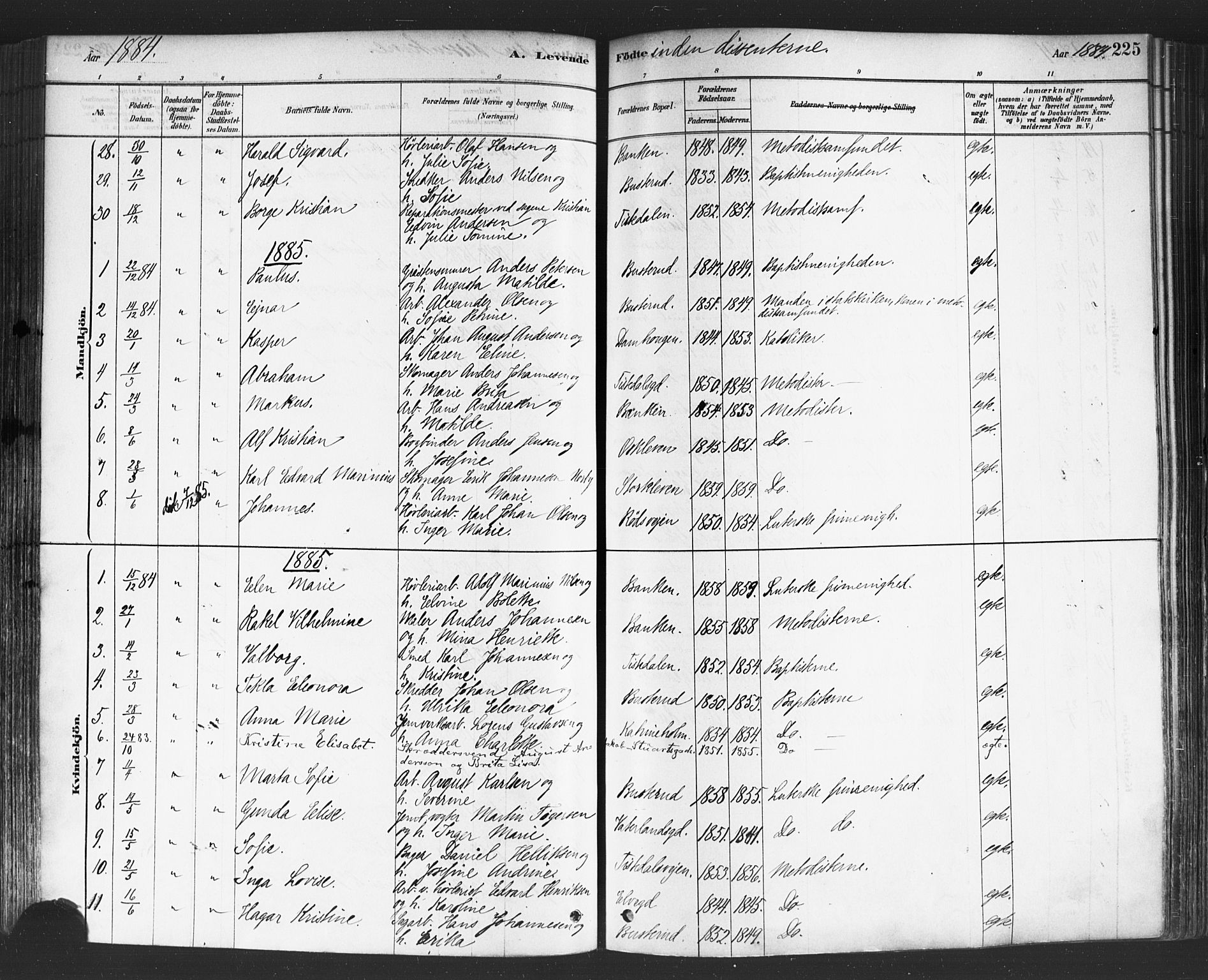 Halden prestekontor Kirkebøker, SAO/A-10909/F/Fa/L0011: Parish register (official) no. I 11, 1878-1889, p. 225