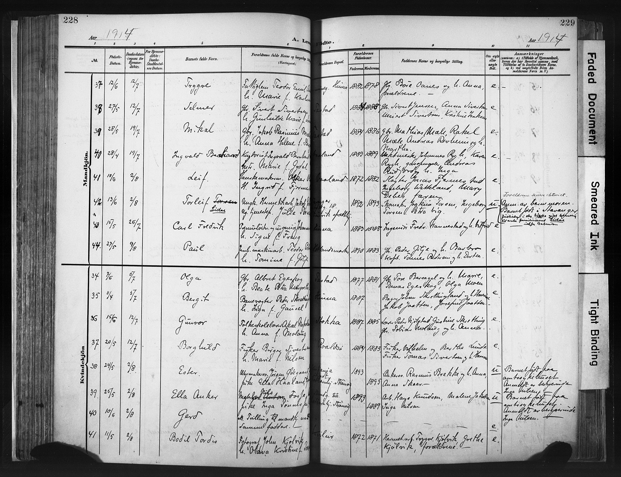 Hetland sokneprestkontor, SAST/A-101826/30/30BA/L0013: Parish register (official) no. A 13, 1904-1918, p. 228-229