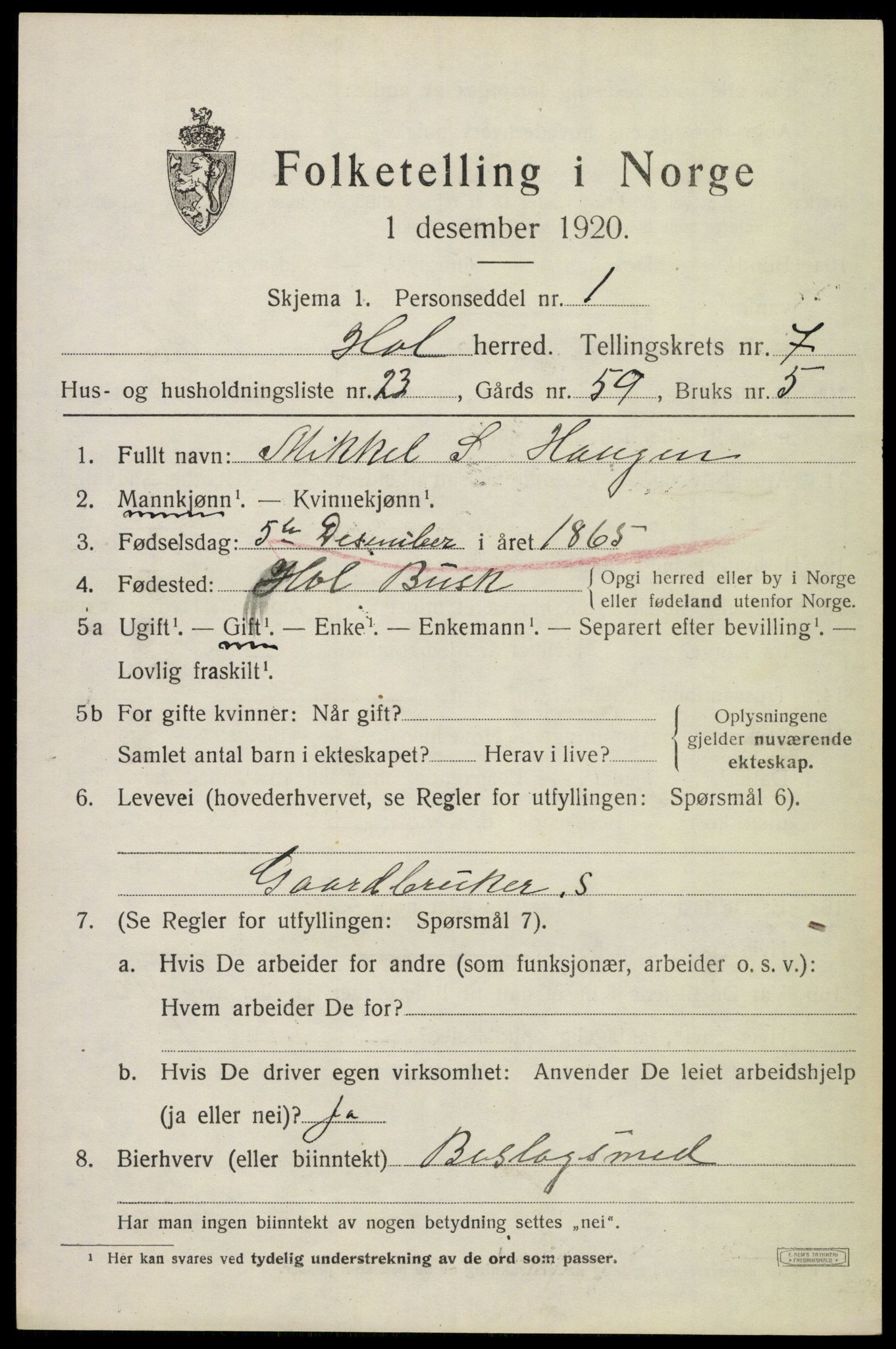 SAKO, 1920 census for Hol (Buskerud), 1920, p. 3787