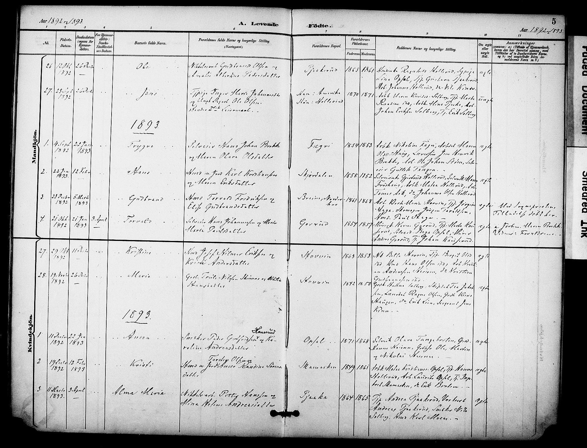 Hole kirkebøker, AV/SAKO-A-228/F/Fb/L0002: Parish register (official) no. II 2, 1892-1906, p. 5