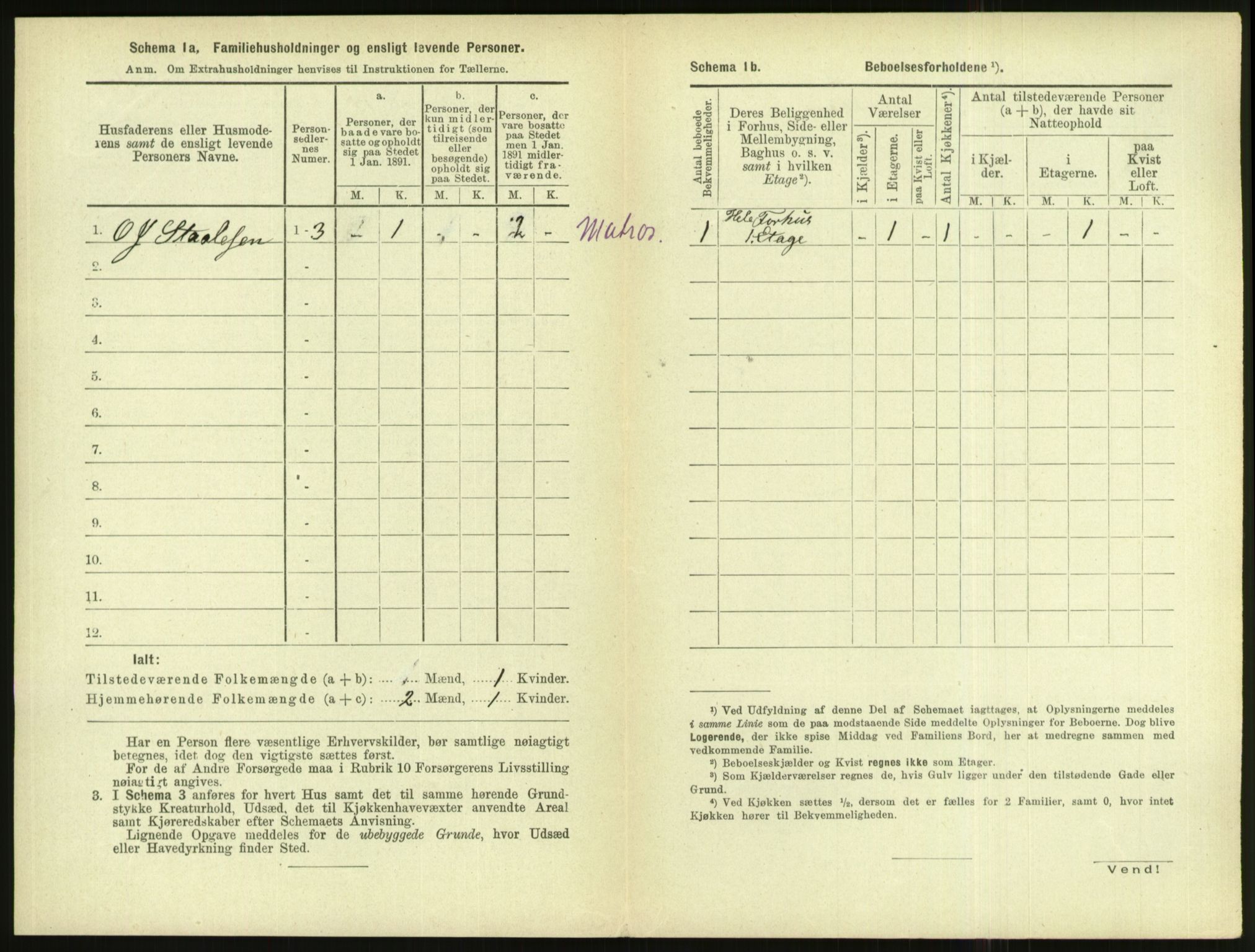 RA, 1891 census for 1004 Flekkefjord, 1891, p. 527