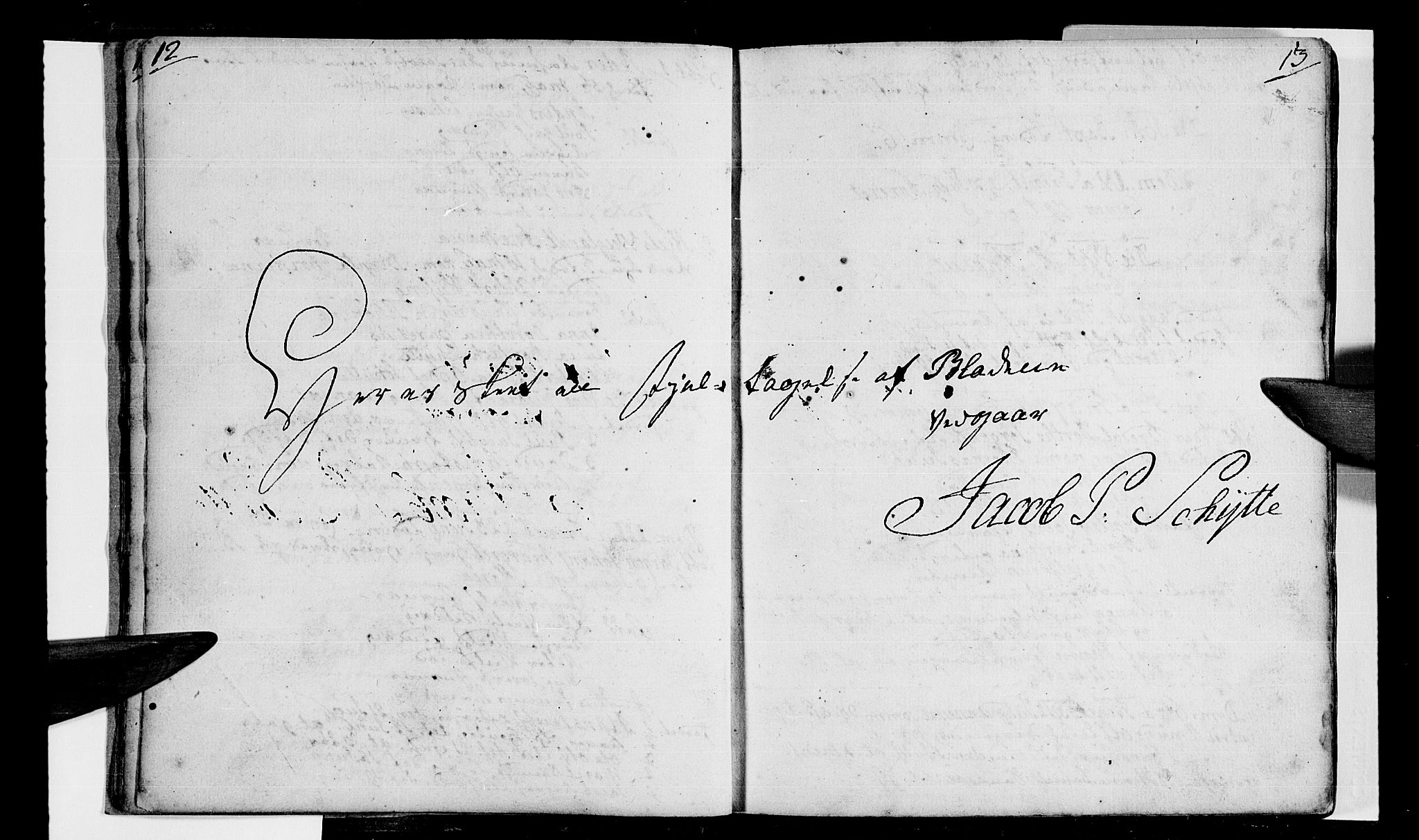 Ministerialprotokoller, klokkerbøker og fødselsregistre - Nordland, SAT/A-1459/872/L1029: Parish register (official) no. 872A04, 1765-1787, p. 12-13