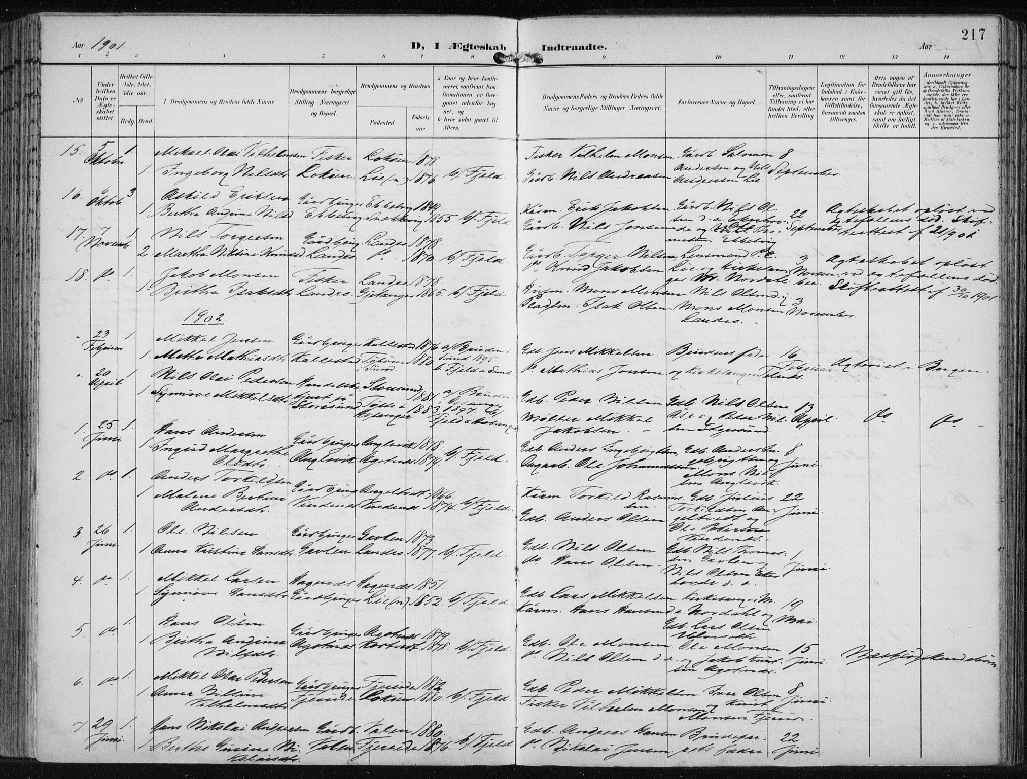 Fjell sokneprestembete, SAB/A-75301/H/Haa: Parish register (official) no. A  9, 1899-1910, p. 217
