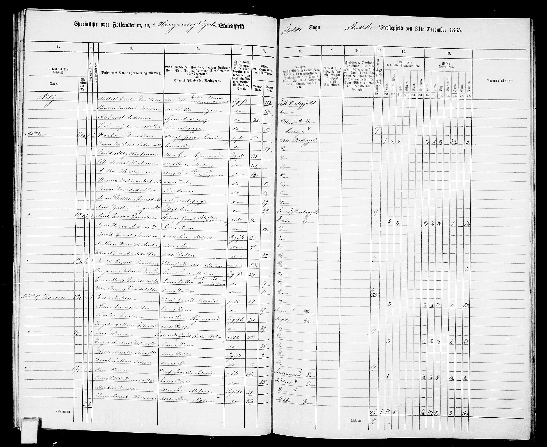 RA, 1865 census for Stokke, 1865, p. 96