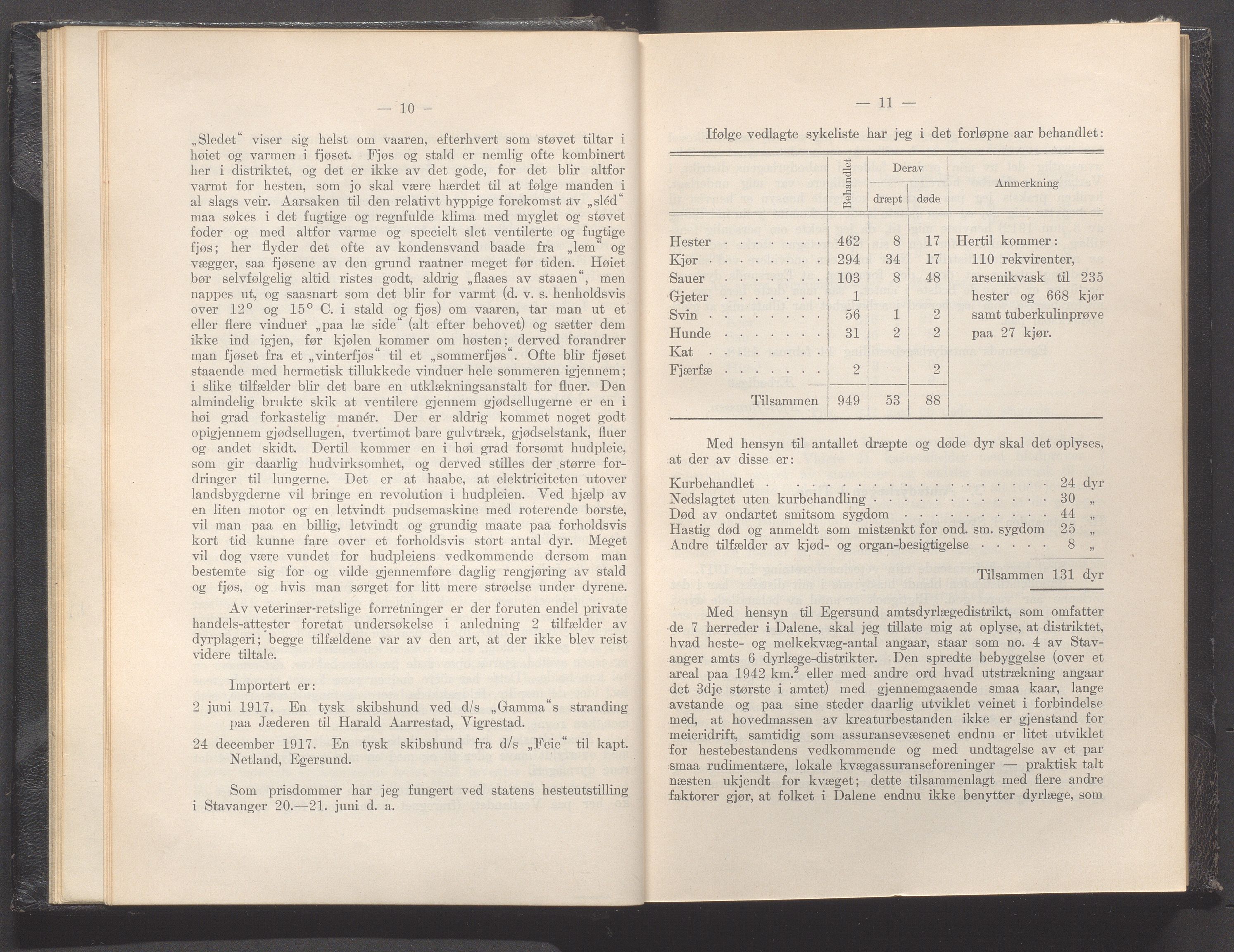 Rogaland fylkeskommune - Fylkesrådmannen , IKAR/A-900/A, 1919, p. 13