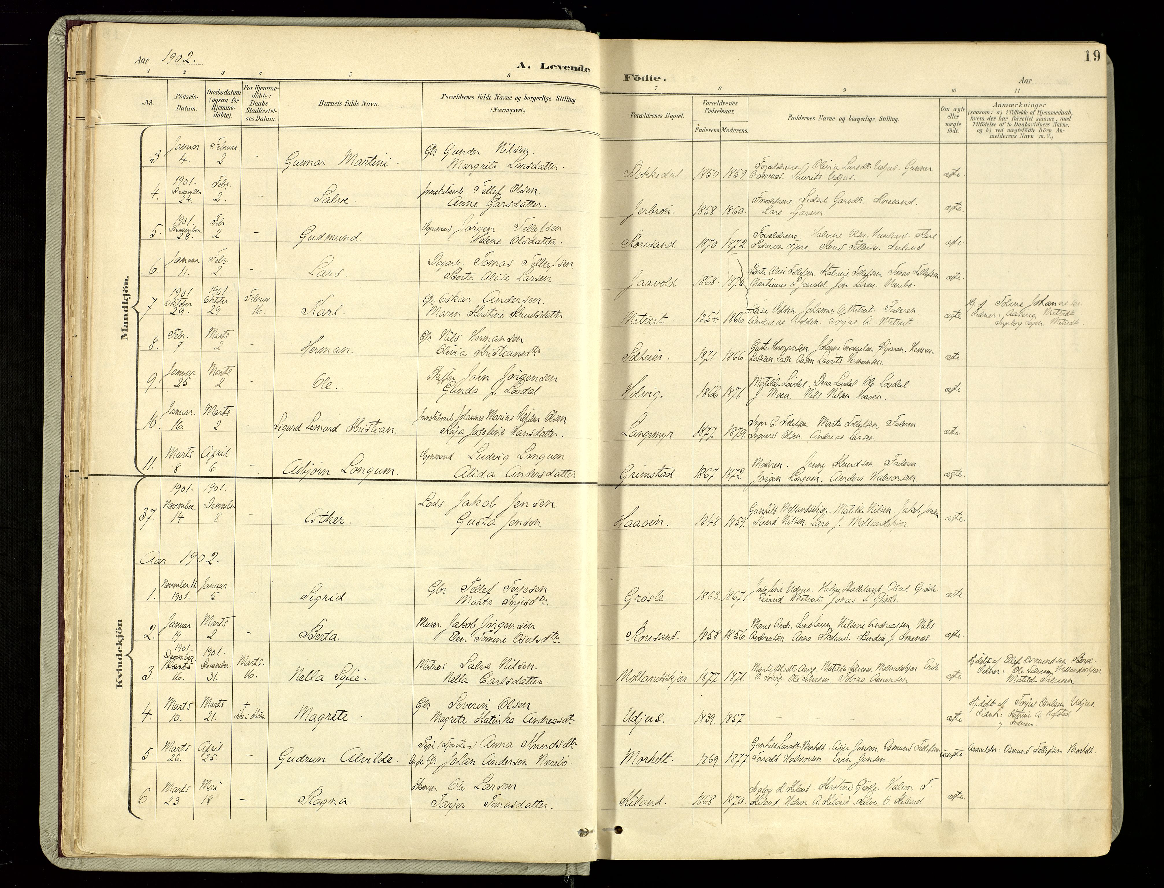 Hommedal sokneprestkontor, AV/SAK-1111-0023/F/Fa/Fab/L0007: Parish register (official) no. A 7, 1898-1924, p. 19