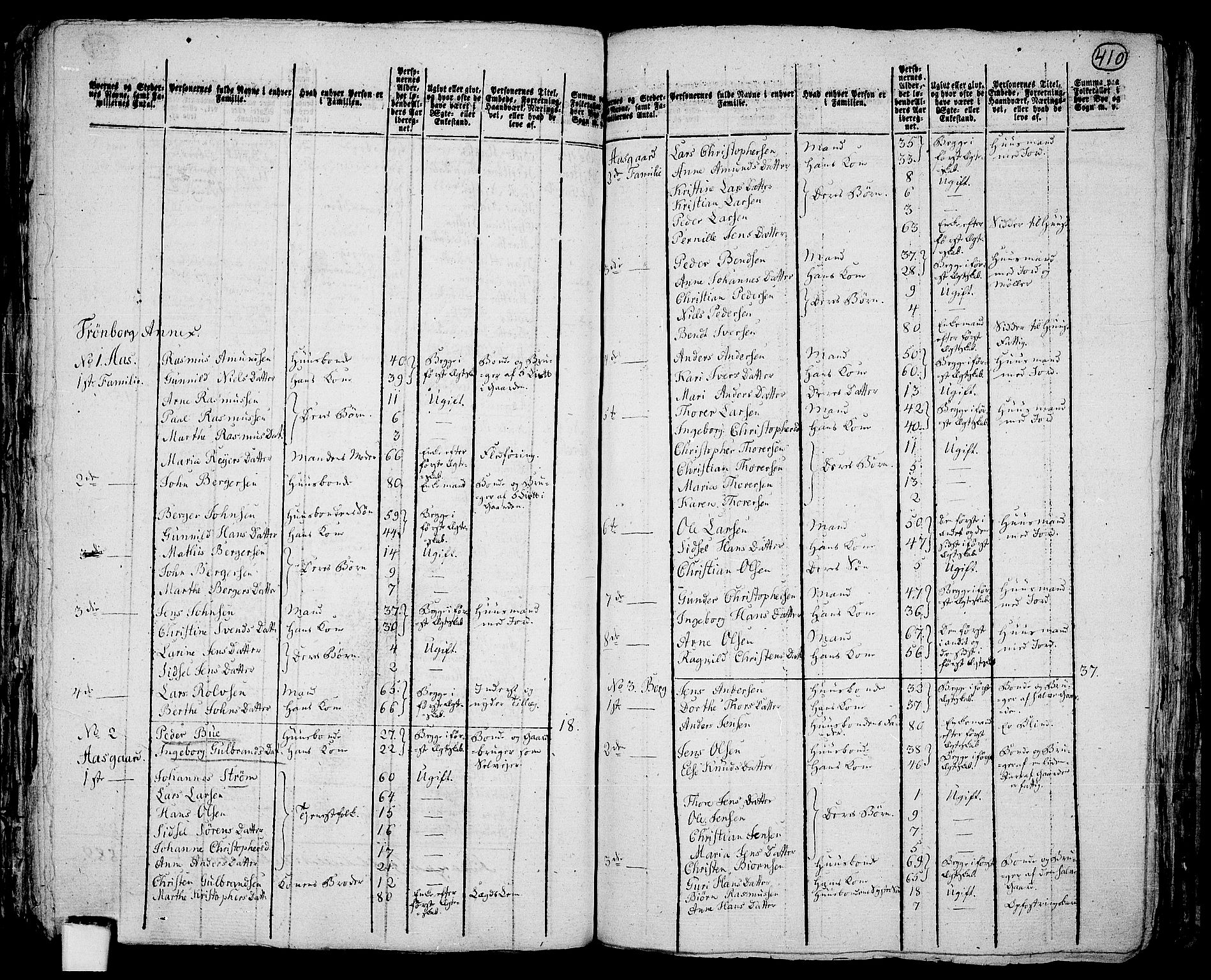 RA, 1801 census for 0125P Eidsberg, 1801, p. 409b-410a