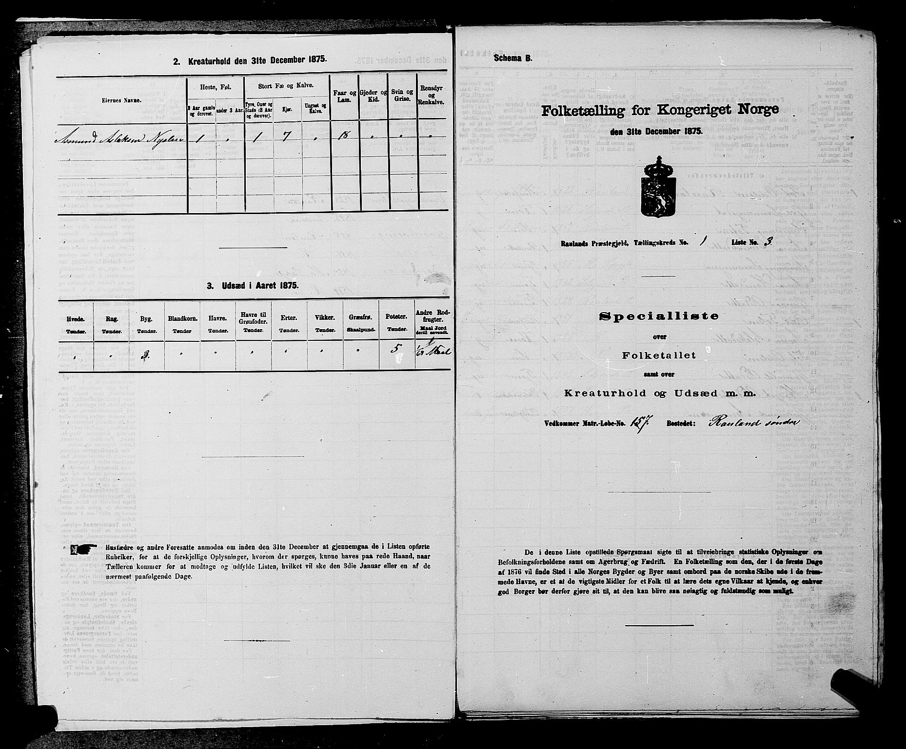 SAKO, 1875 census for 0835P Rauland, 1875, p. 31