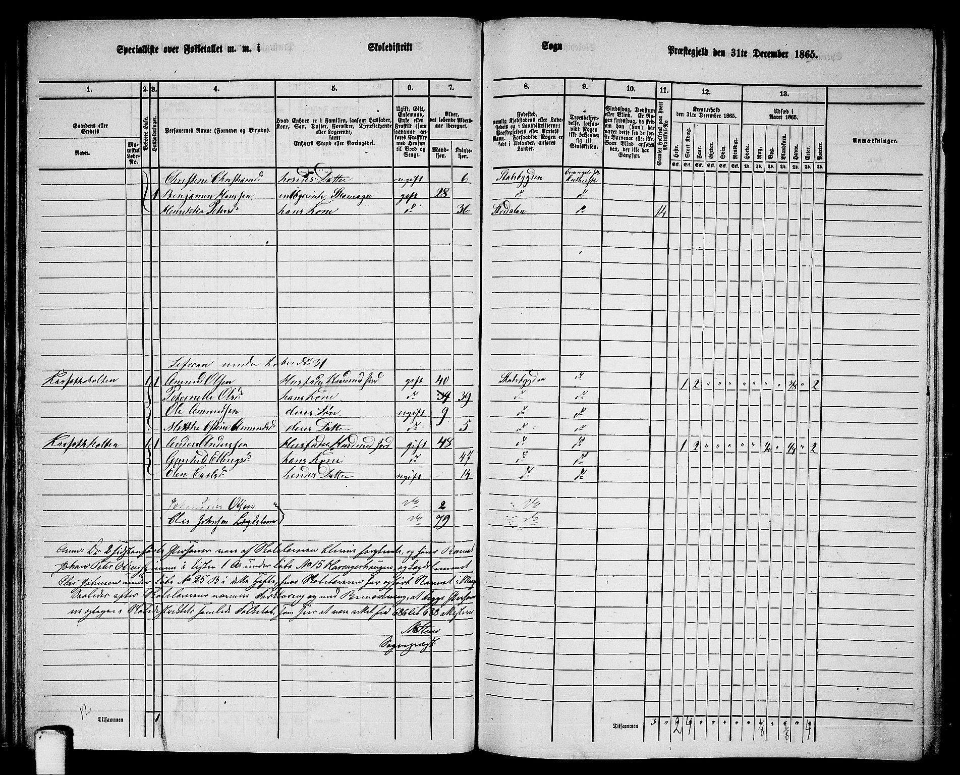 RA, 1865 census for Stadsbygd, 1865, p. 35