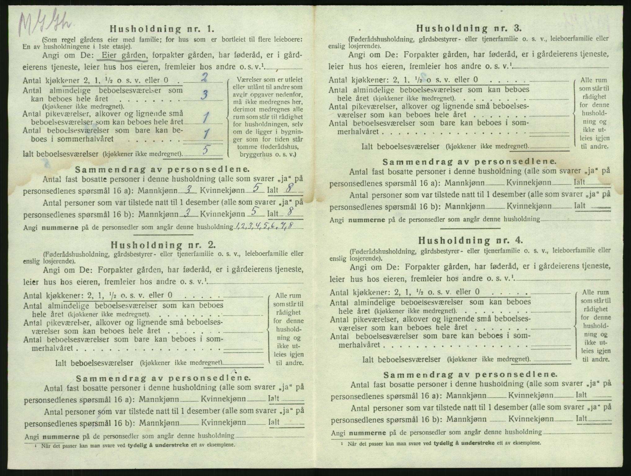 SAKO, 1920 census for Brunlanes, 1920, p. 1078