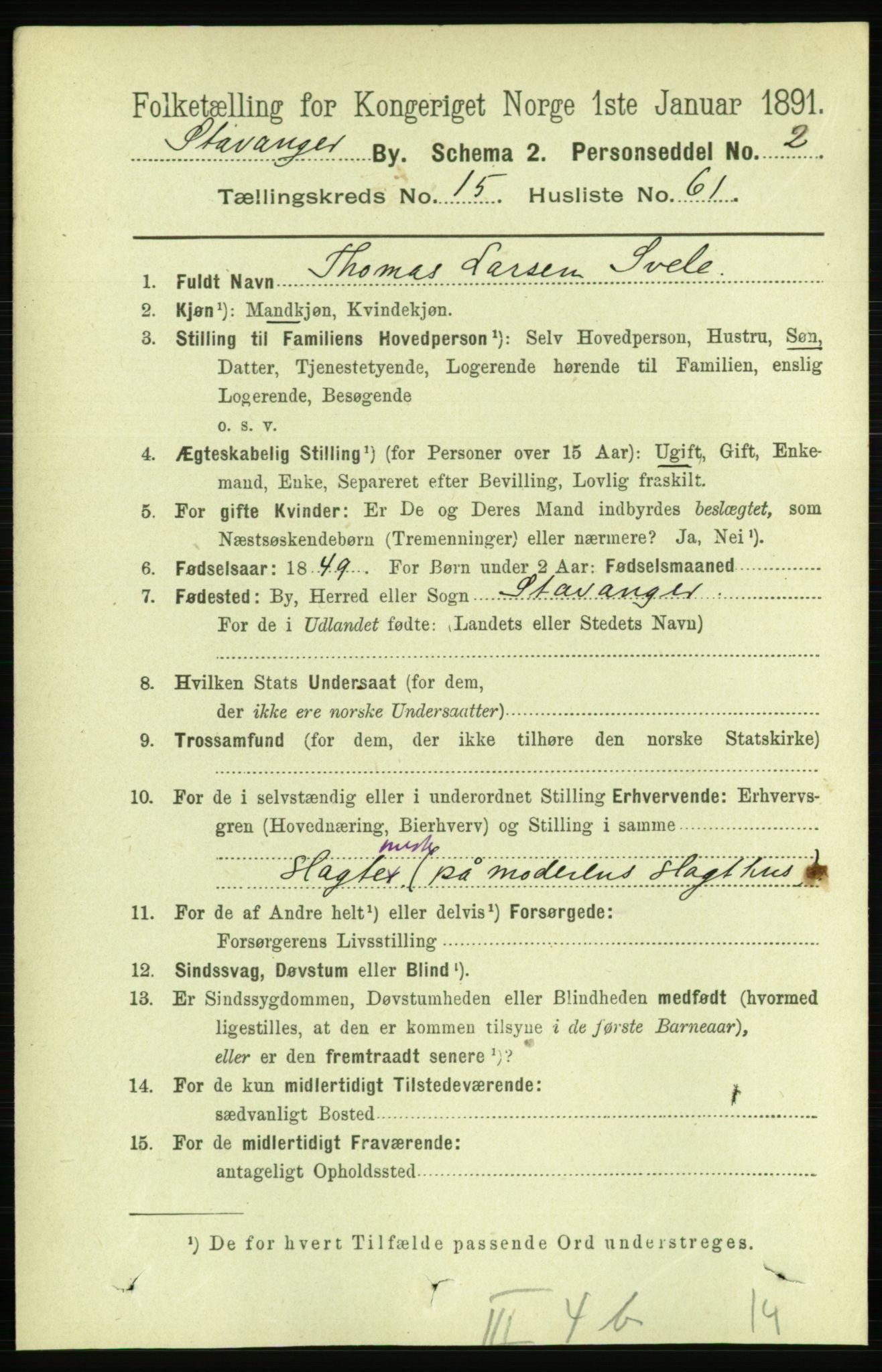 RA, 1891 census for 1103 Stavanger, 1891, p. 18442