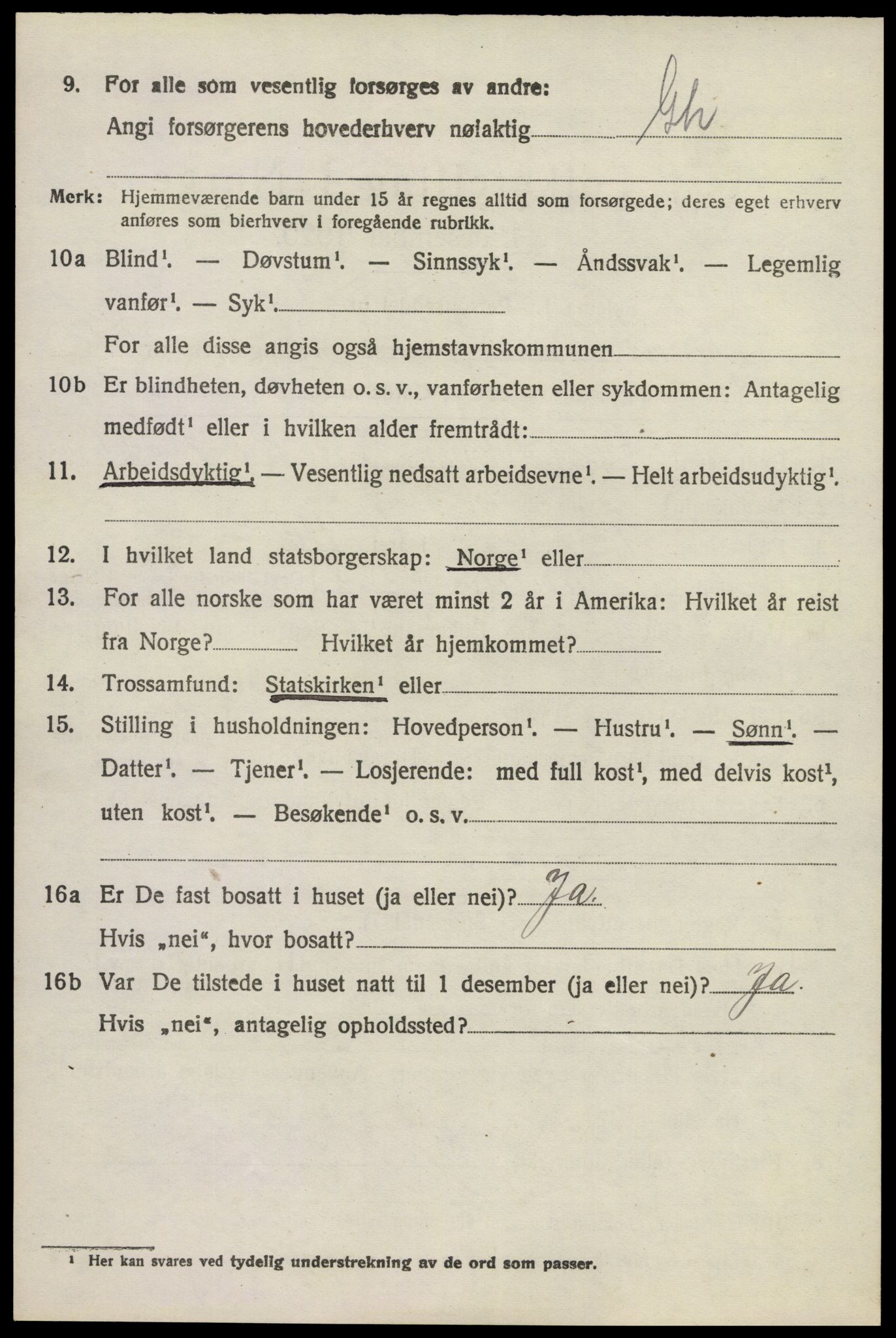 SAKO, 1920 census for Brunlanes, 1920, p. 3334
