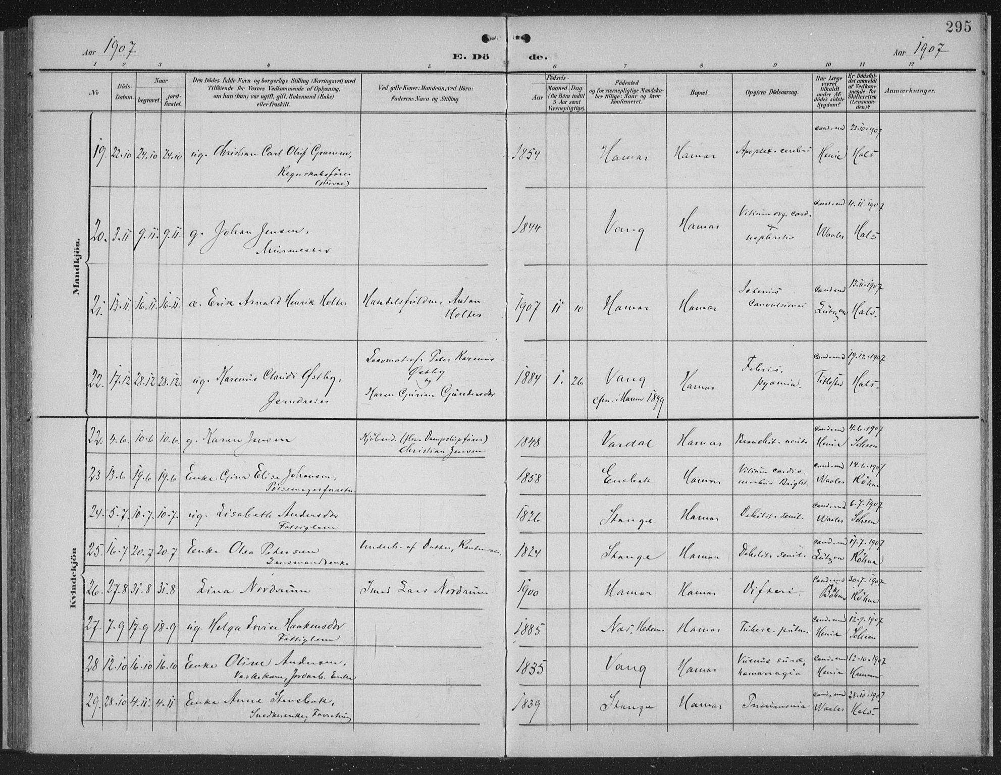 Hamar prestekontor, SAH/DOMPH-002/H/Ha/Haa/L0001: Parish register (official) no. 1, 1900-1914, p. 295