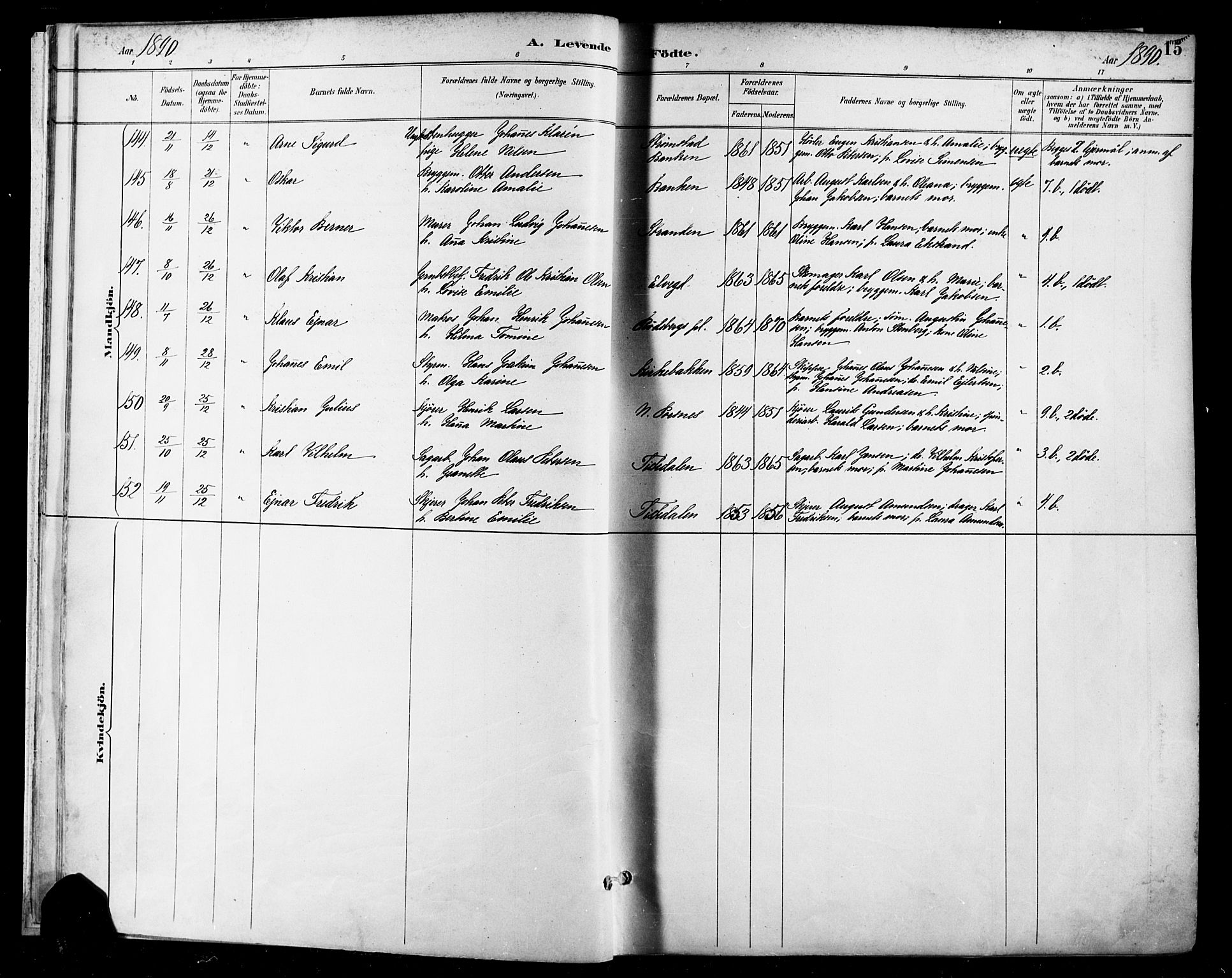 Halden prestekontor Kirkebøker, SAO/A-10909/F/Fa/L0013: Parish register (official) no. I 13, 1890-1906, p. 15
