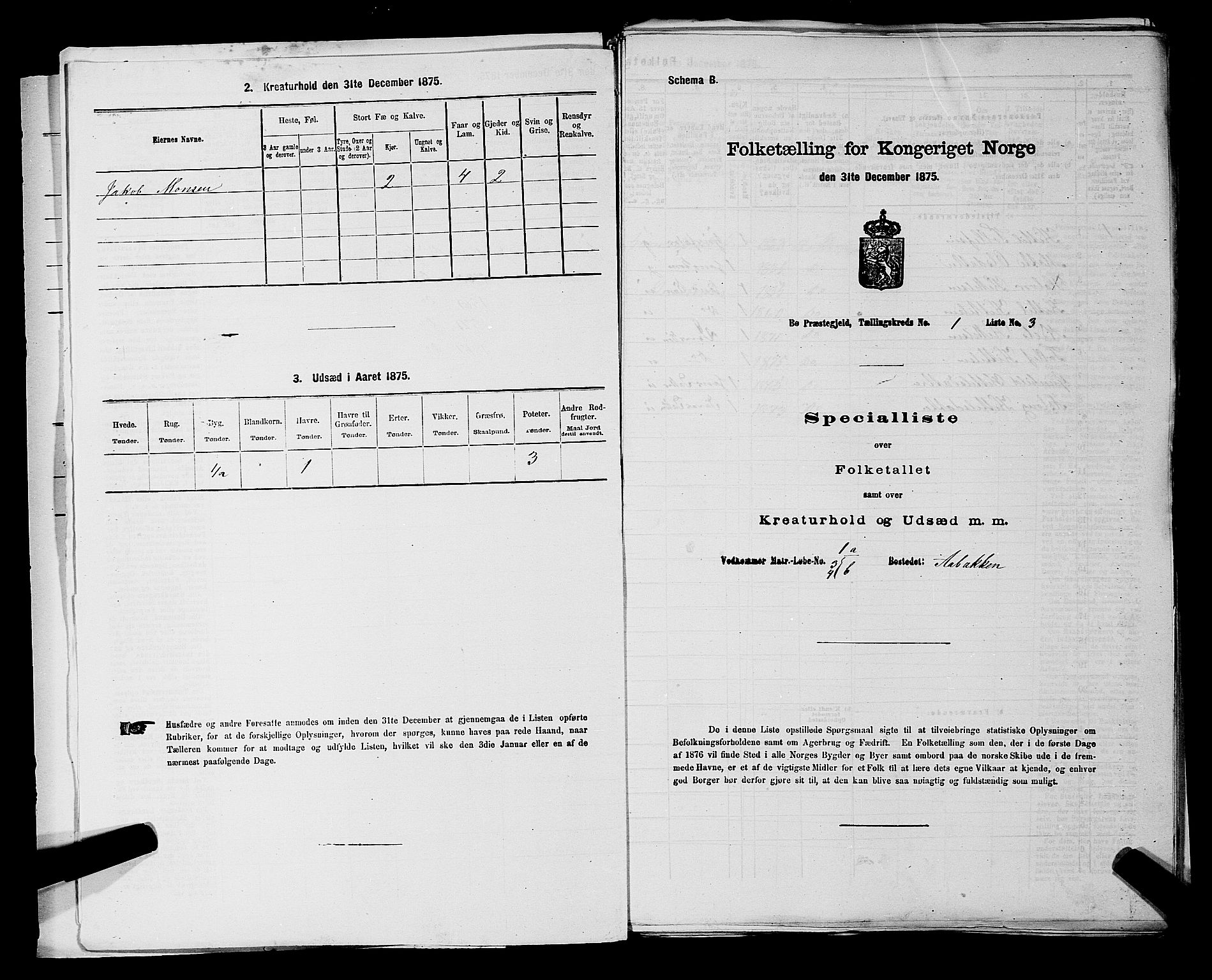 SAKO, 1875 census for 0821P Bø, 1875, p. 43