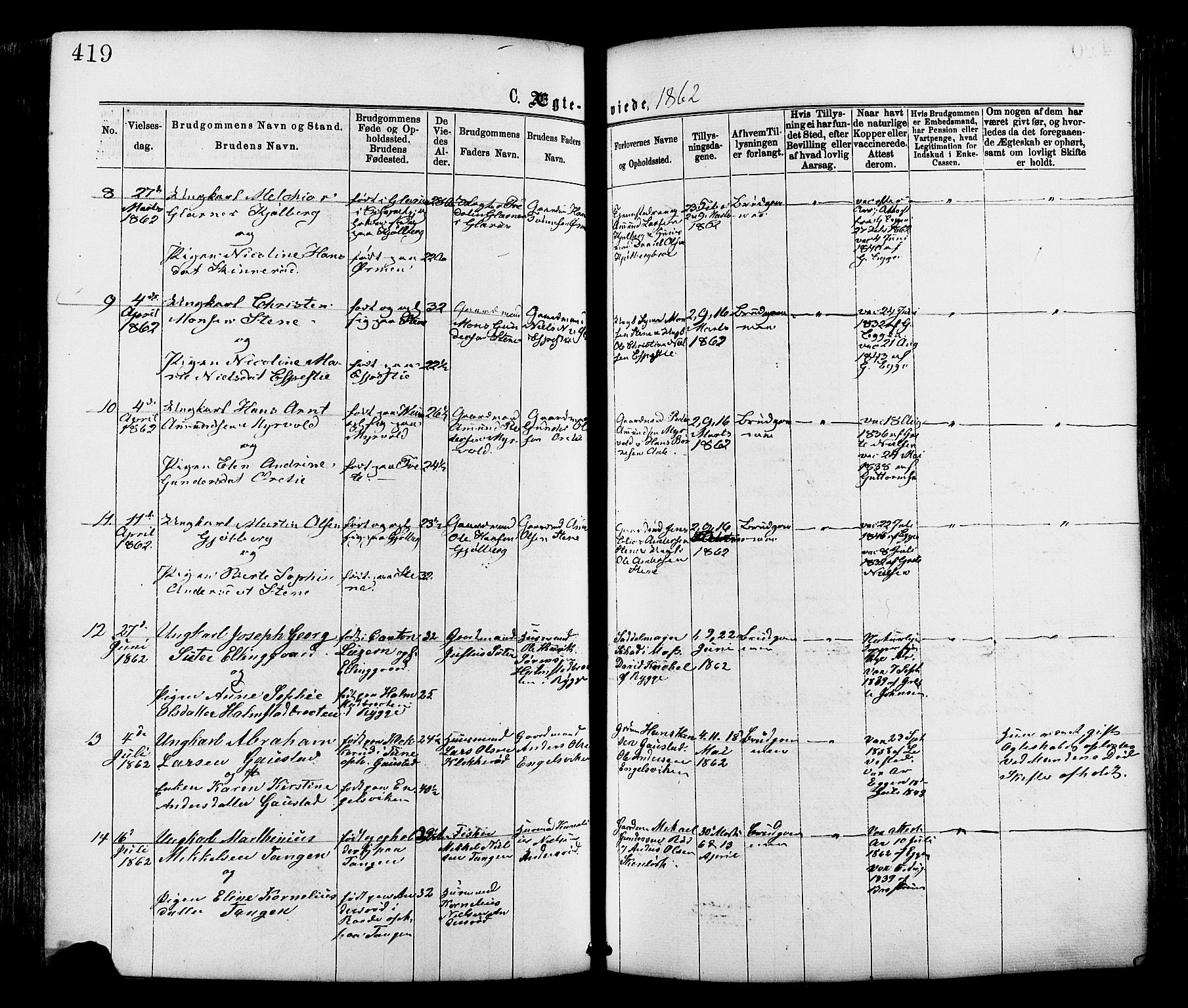 Onsøy prestekontor Kirkebøker, SAO/A-10914/F/Fa/L0004: Parish register (official) no. I 4, 1861-1877, p. 419