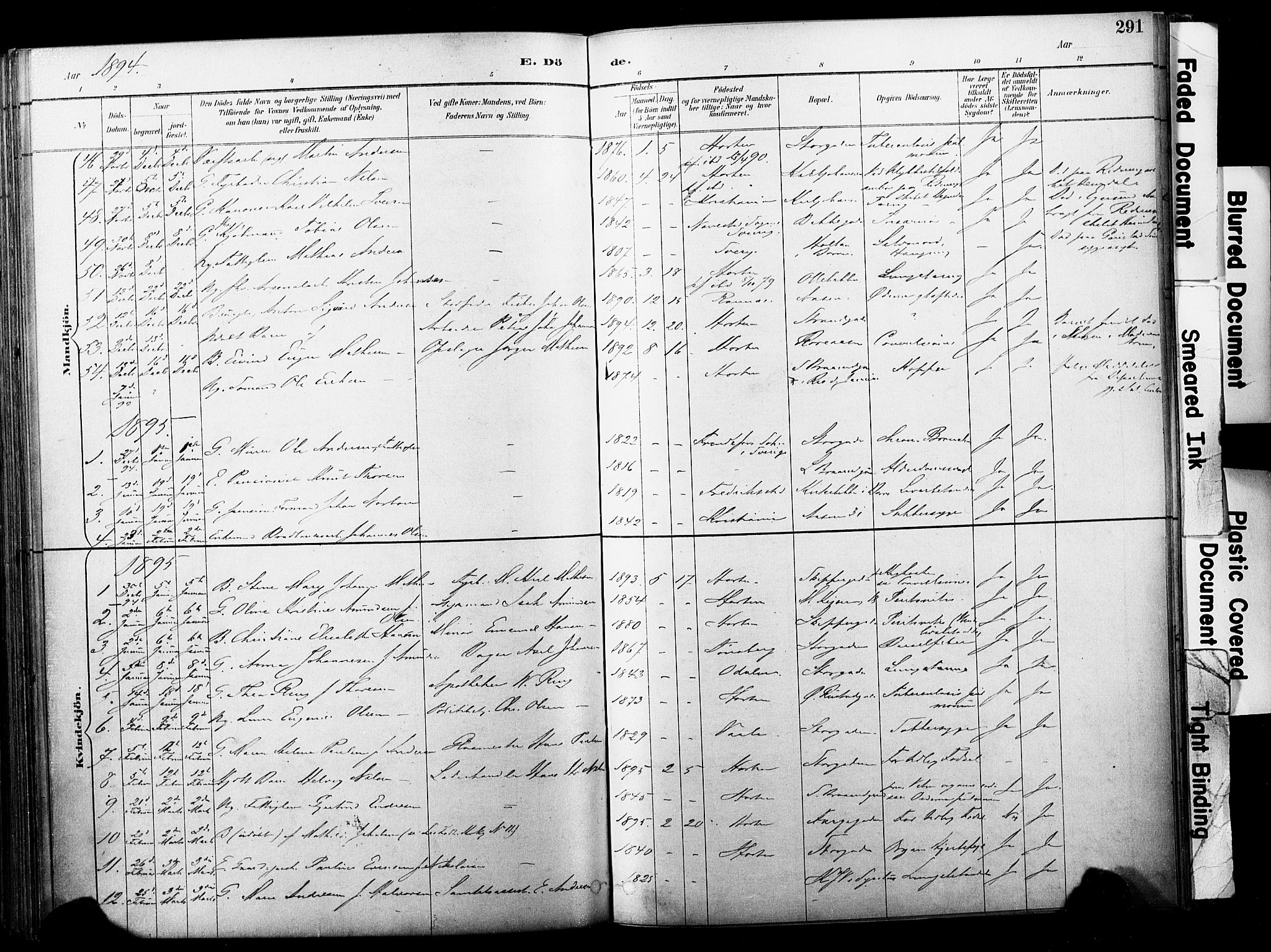 Horten kirkebøker, SAKO/A-348/F/Fa/L0004: Parish register (official) no. 4, 1888-1895, p. 291