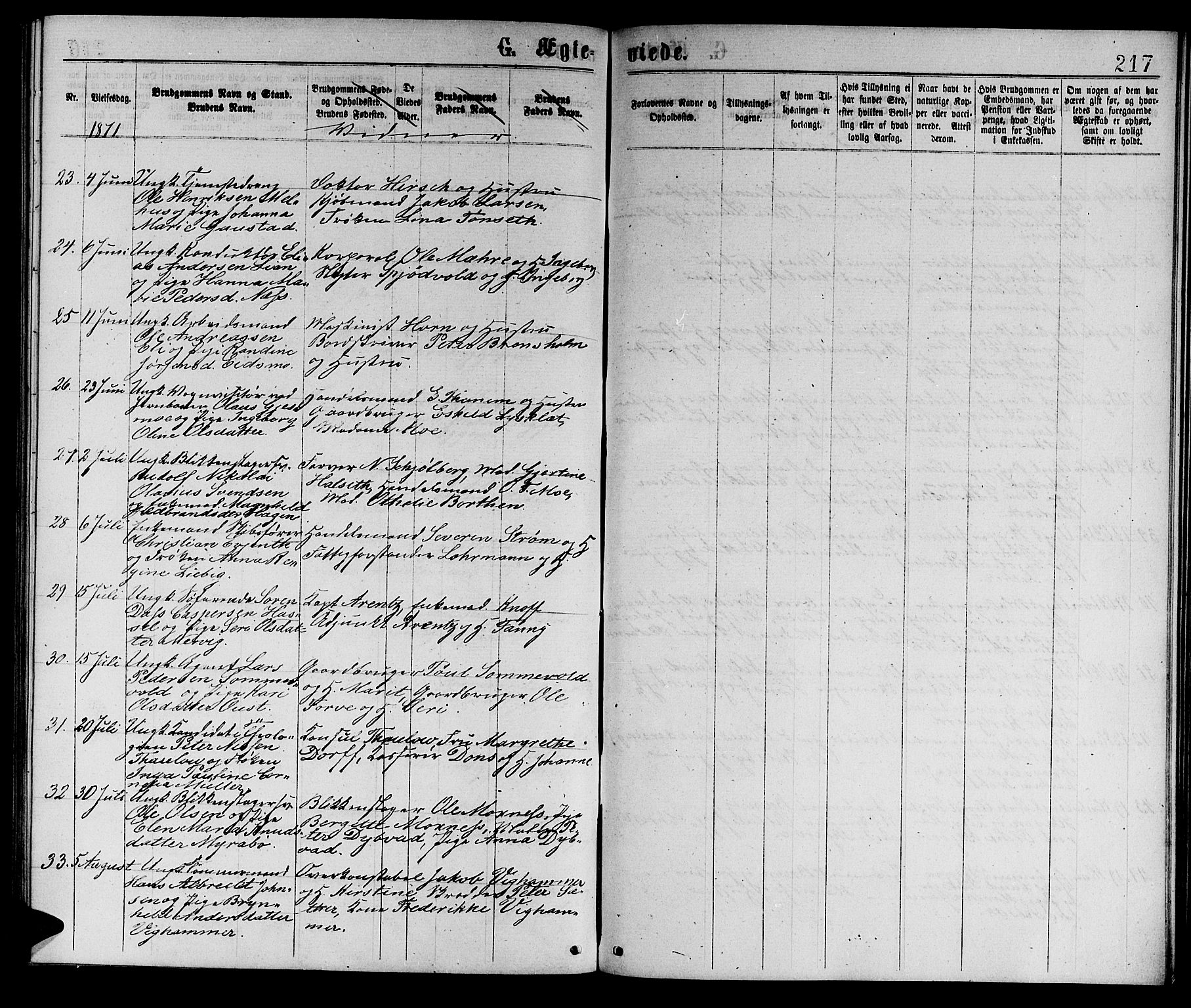 Ministerialprotokoller, klokkerbøker og fødselsregistre - Sør-Trøndelag, AV/SAT-A-1456/601/L0088: Parish register (copy) no. 601C06, 1870-1878, p. 217