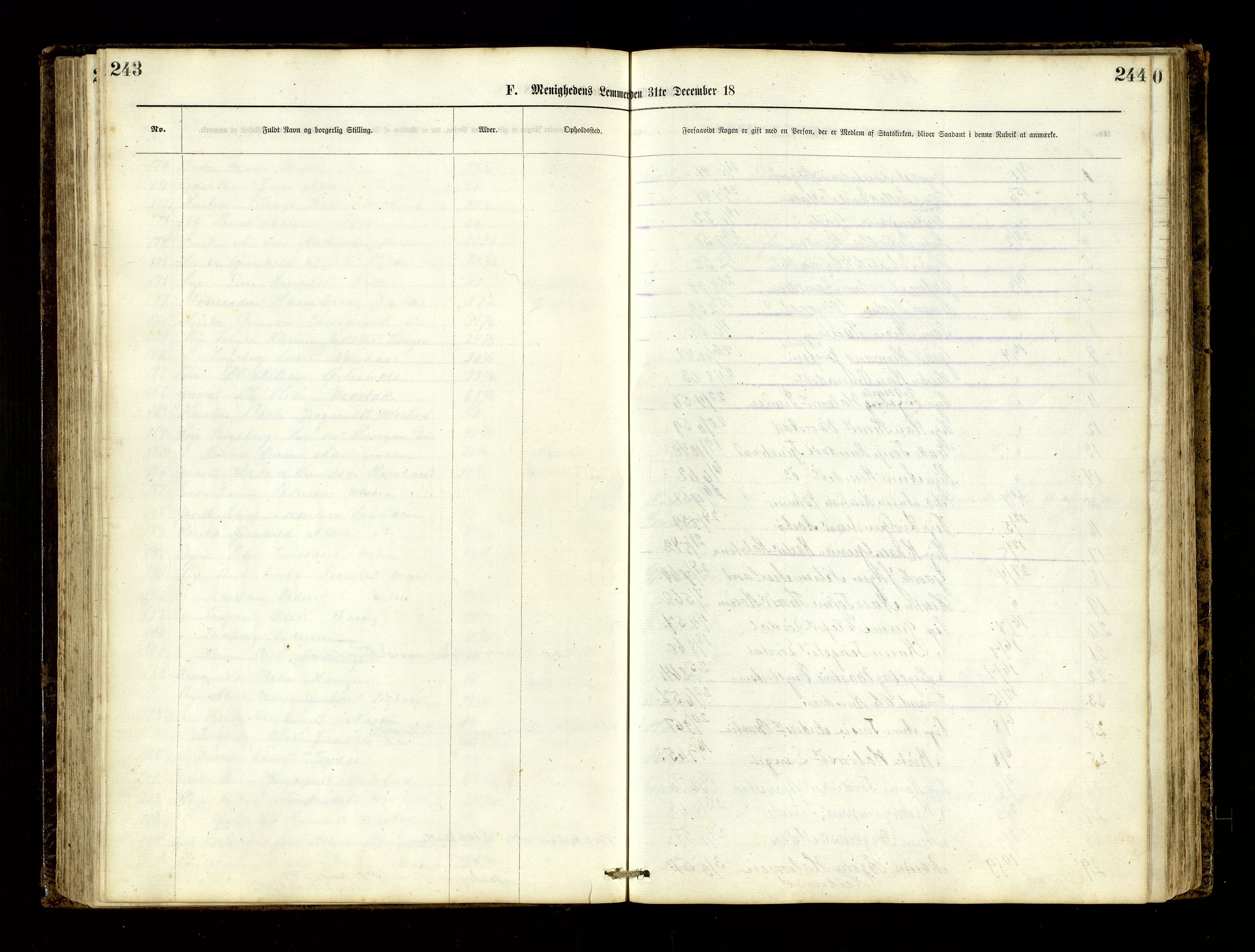 Den evangelisk-lutherske frimenighet, Risør, AV/SAK-1292-0007/F/Fa/L0001: Dissenter register no. F 17, 1877-1892, p. 243-244