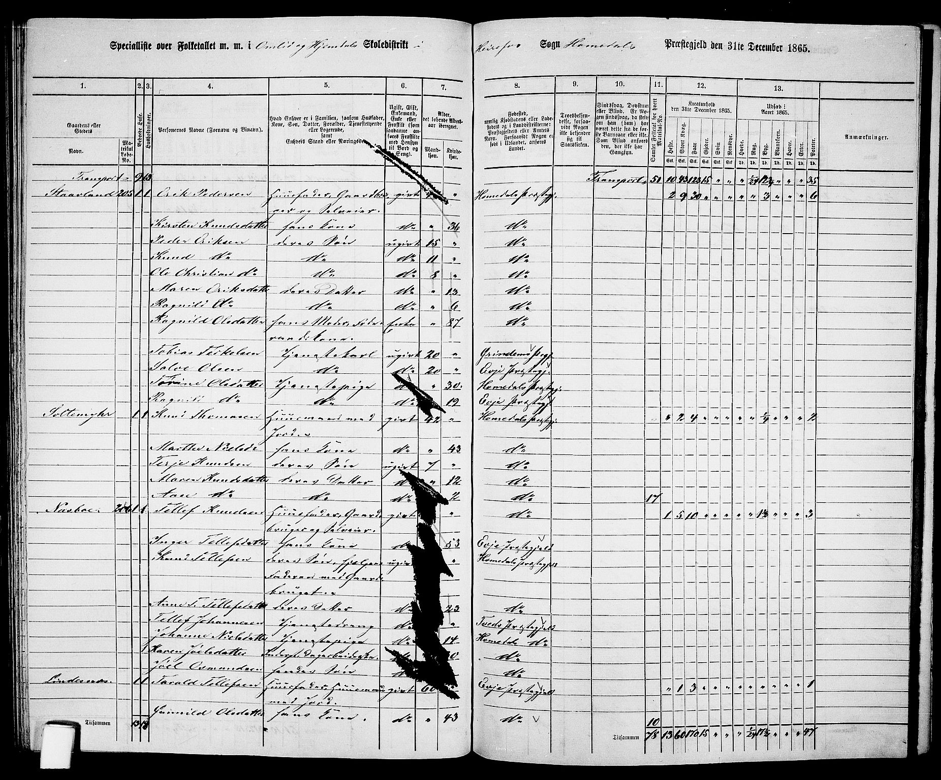 RA, 1865 census for Homedal, 1865, p. 155