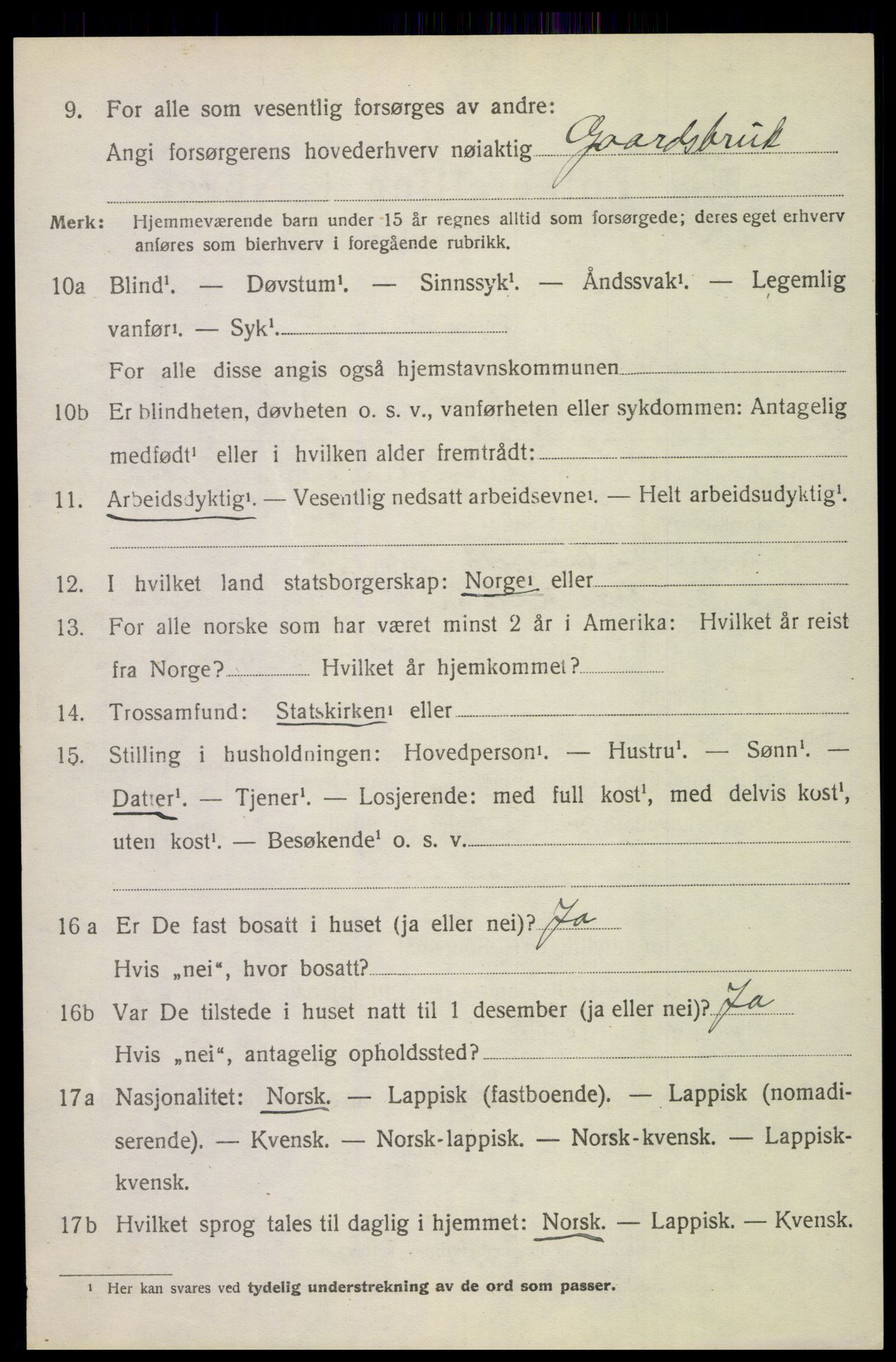 SAT, 1920 census for Saltdal, 1920, p. 7810