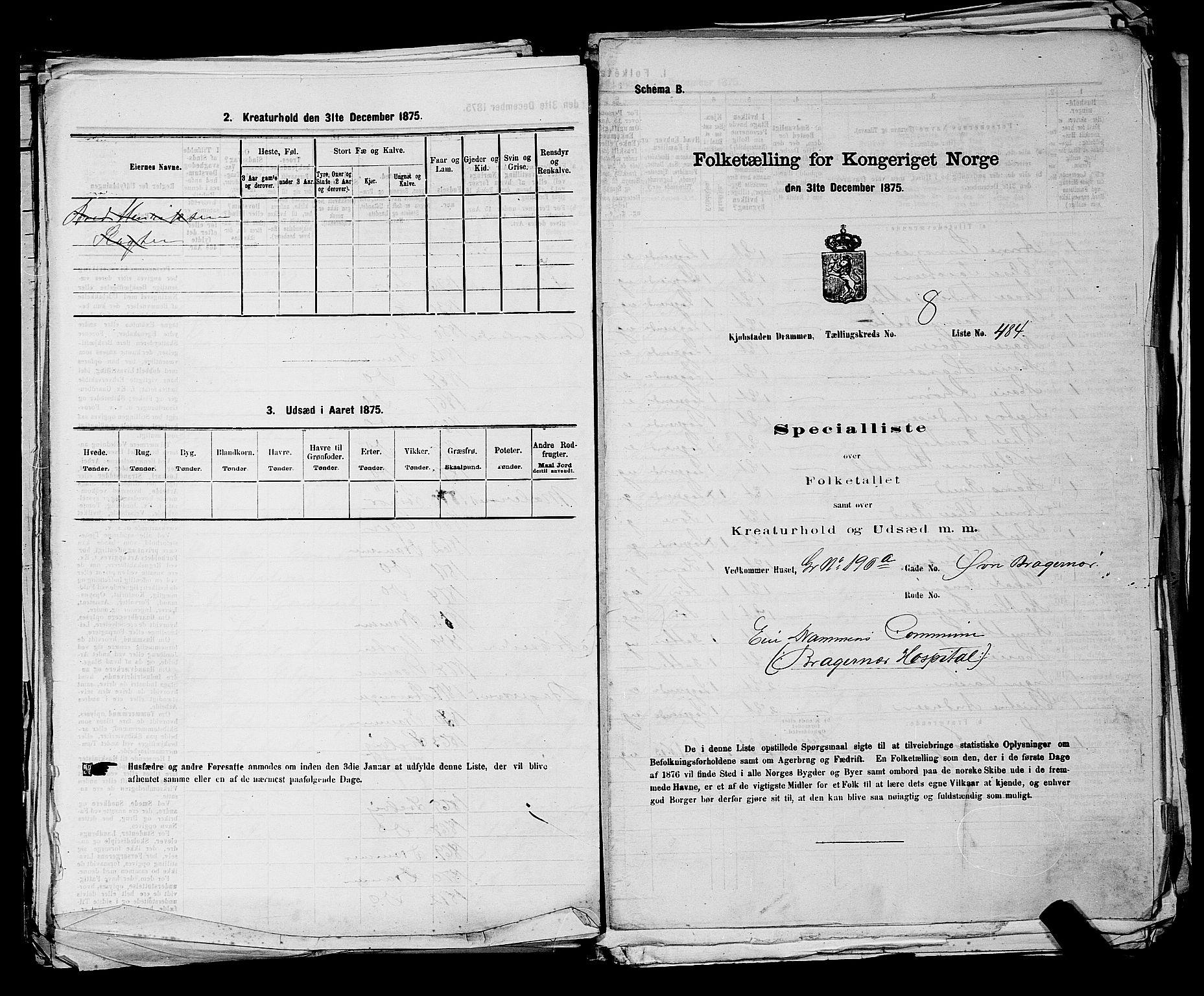 SAKO, 1875 census for 0602 Drammen, 1875, p. 801