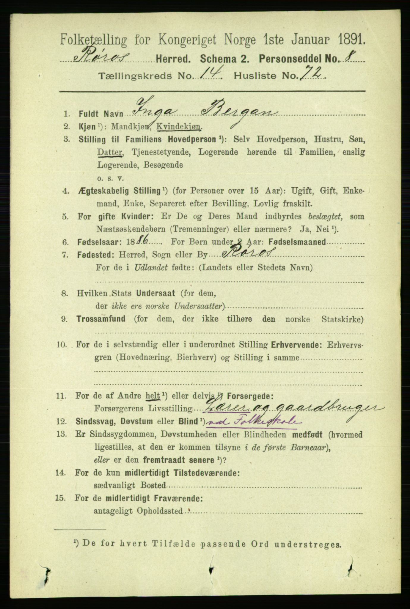 RA, 1891 census for 1640 Røros, 1891, p. 3259