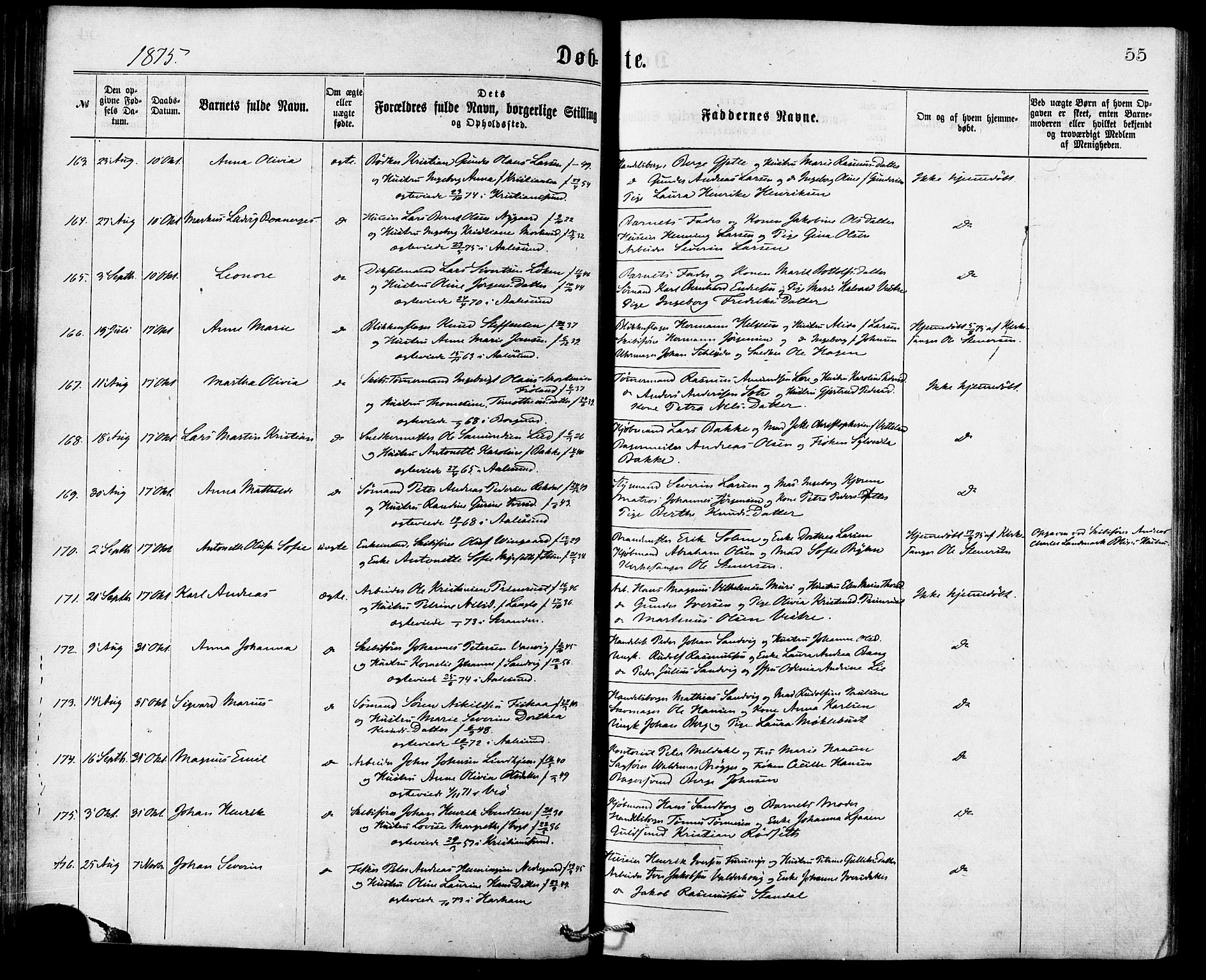 Ministerialprotokoller, klokkerbøker og fødselsregistre - Møre og Romsdal, SAT/A-1454/529/L0453: Parish register (official) no. 529A03, 1872-1877, p. 55