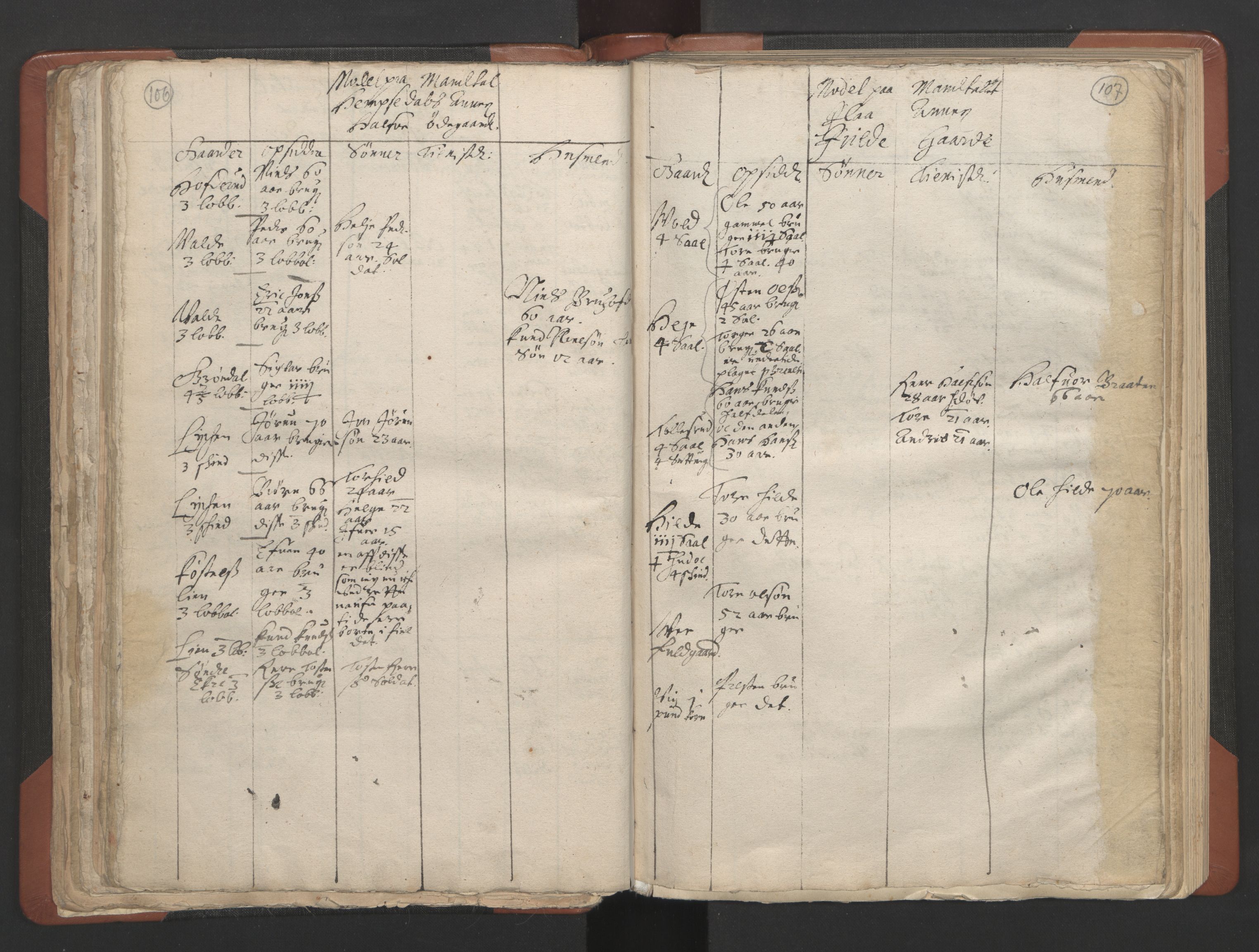 RA, Vicar's Census 1664-1666, no. 8: Valdres deanery, 1664-1666, p. 106-107