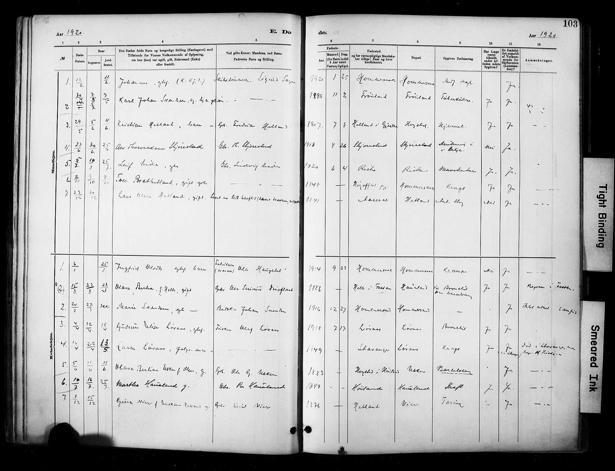 Hetland sokneprestkontor, SAST/A-101826/30/30BA/L0010: Parish register (official) no. A 10, 1882-1925, p. 103