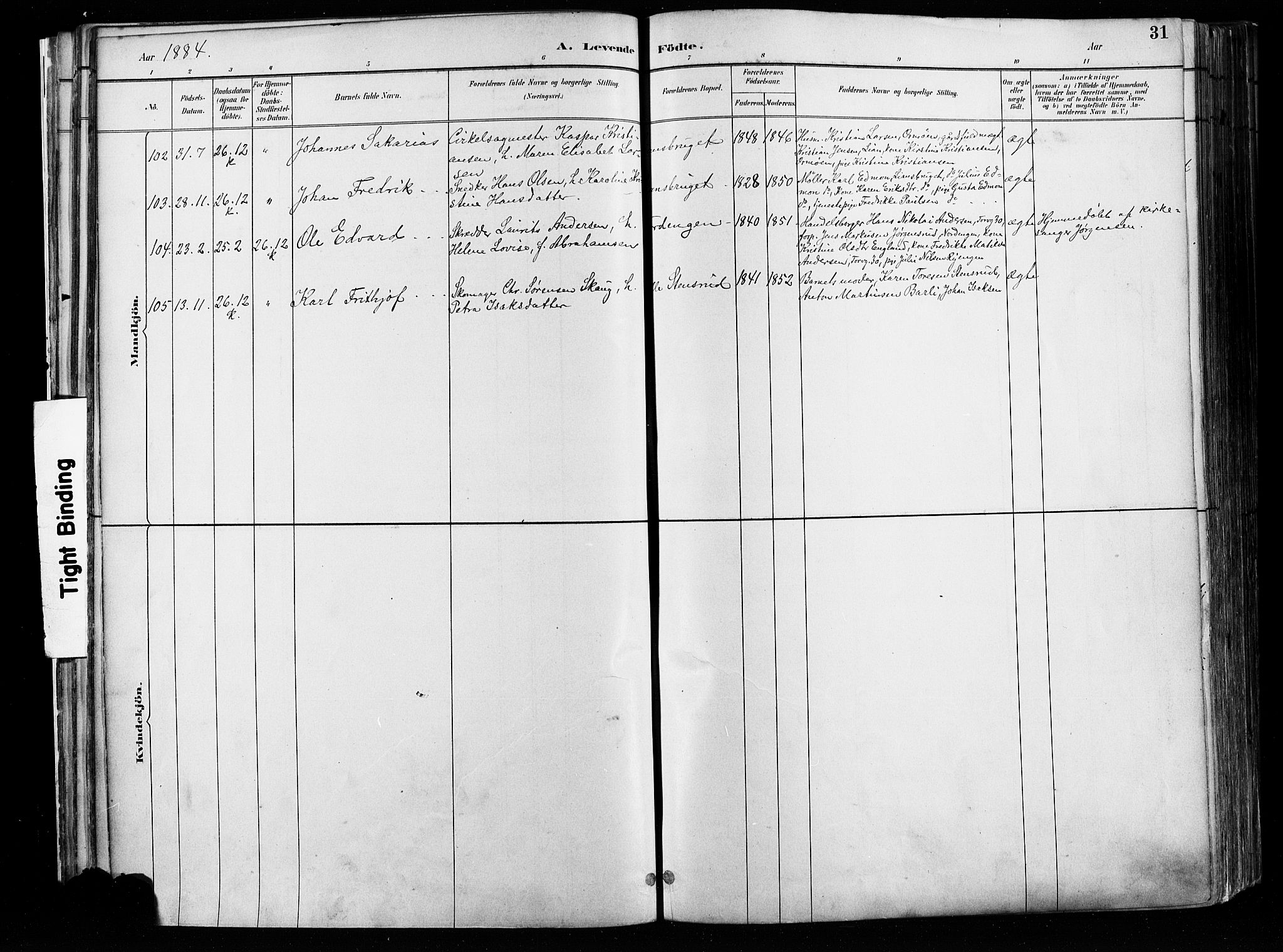 Østre Aker prestekontor Kirkebøker, SAO/A-10840/F/Fa/L0008: Parish register (official) no. I 8, 1883-1894, p. 31